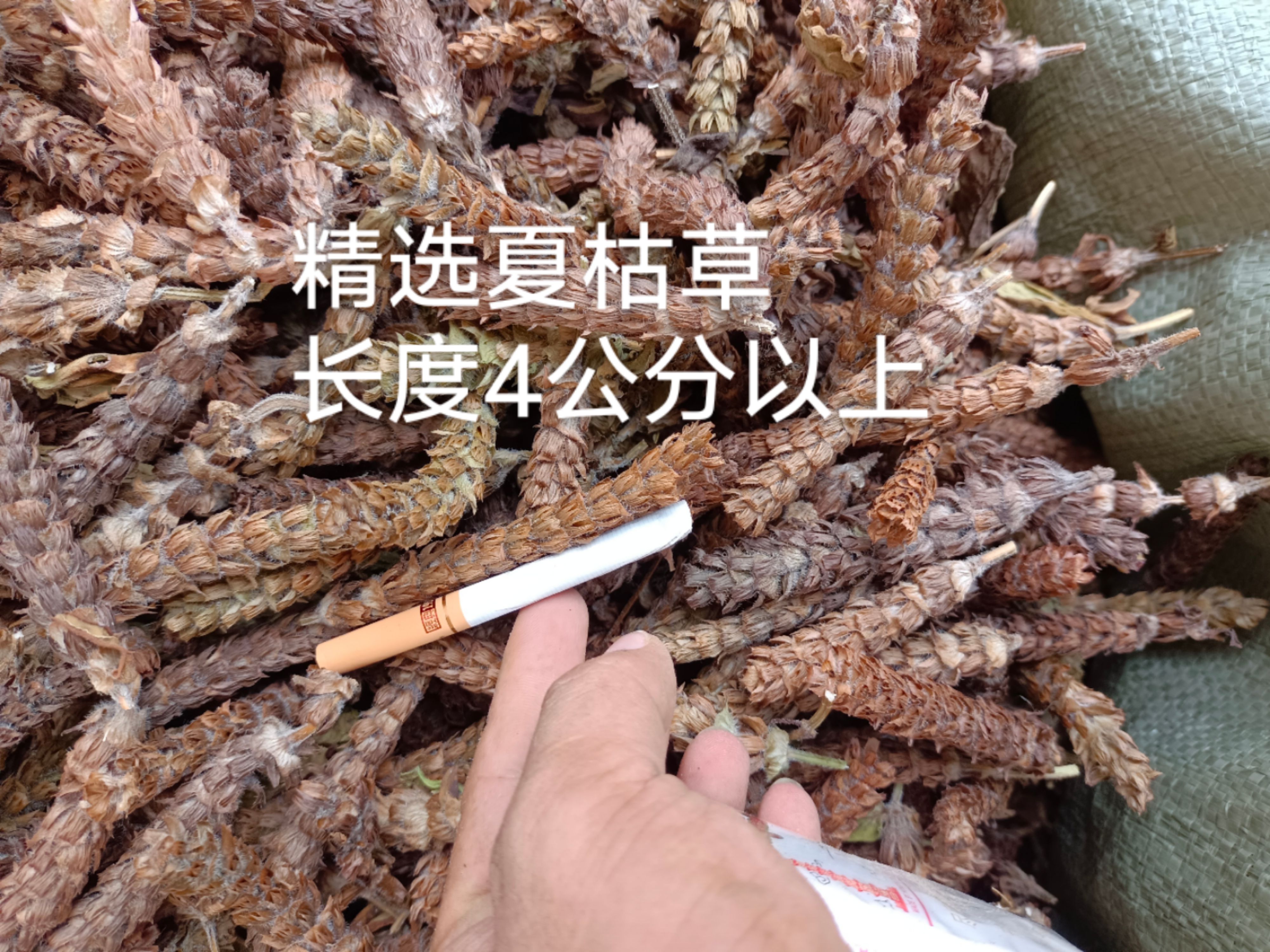 夏枯草 夏枯球正品保证 中药材 健康至上