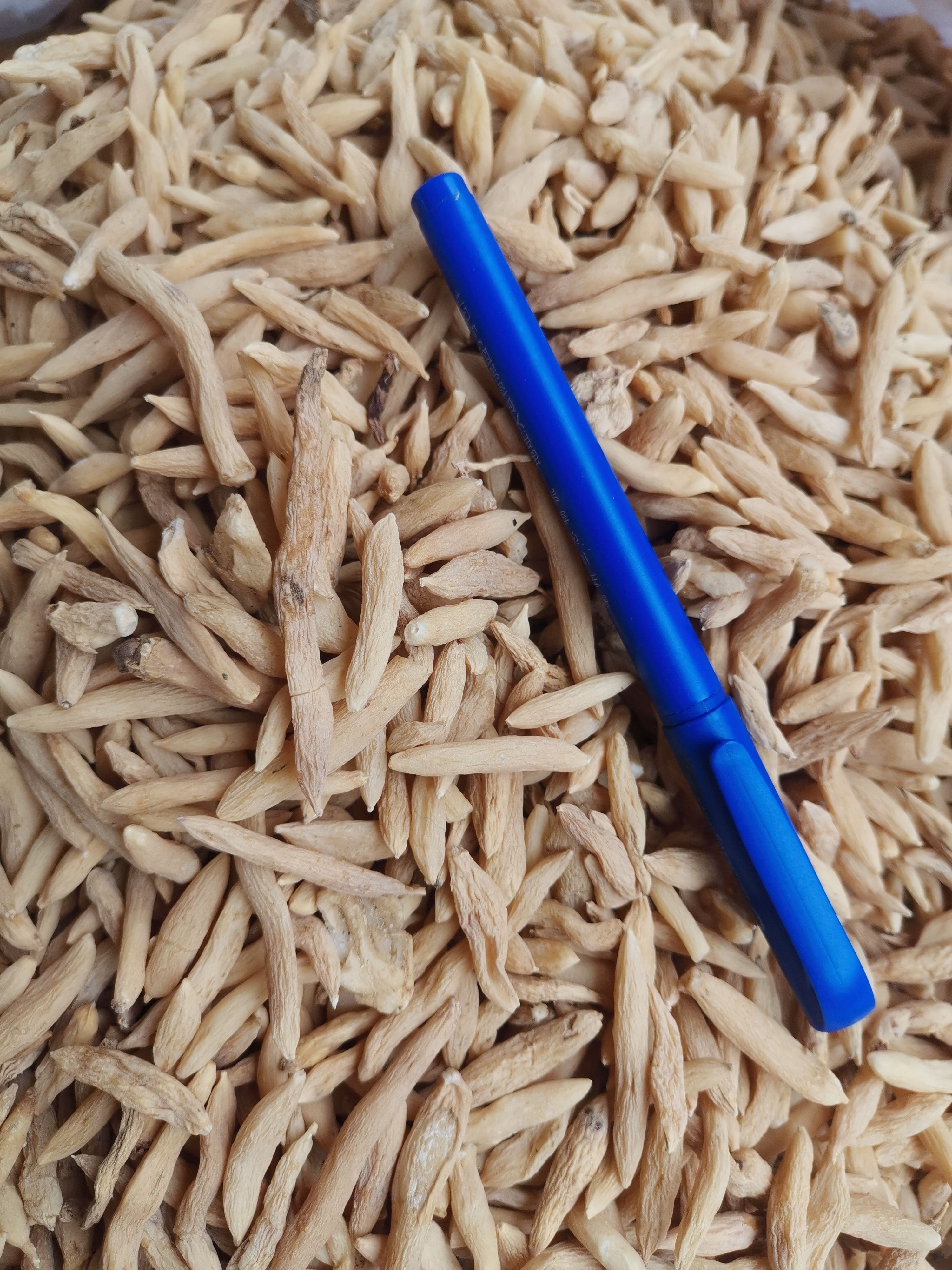 麦冬500克中药材无硫非麦冬籽干泡水麦门冬正品