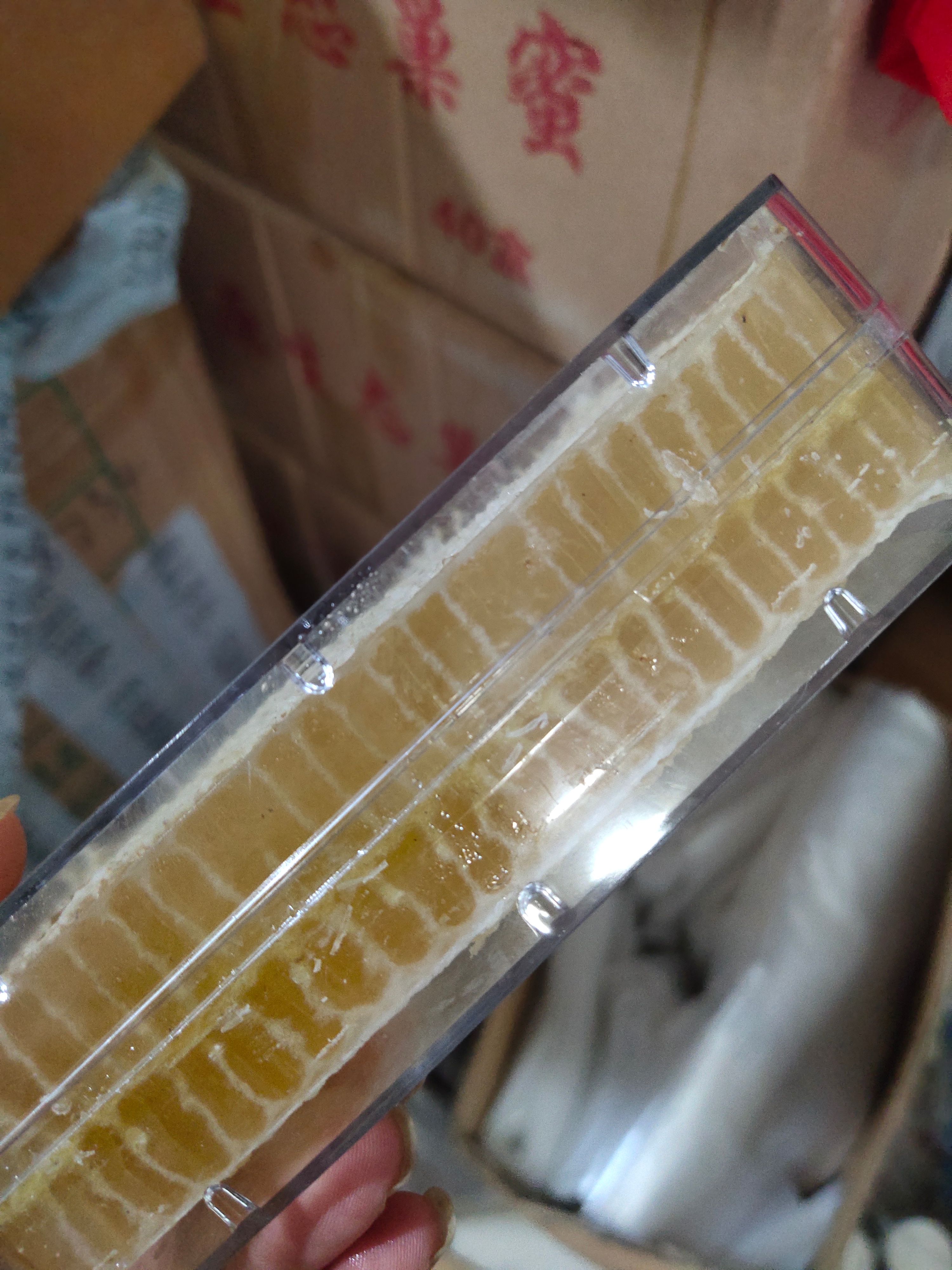 蜂巢蜜500g蜂巢蜜嚼着吃土蜂蜜