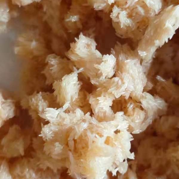 黑水虻虫卵500克
