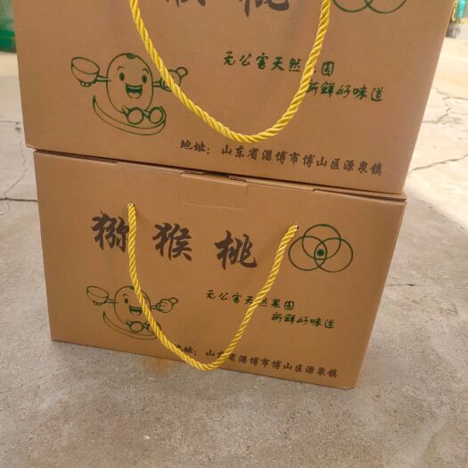淄博正宗源泉碧玉猕猴桃