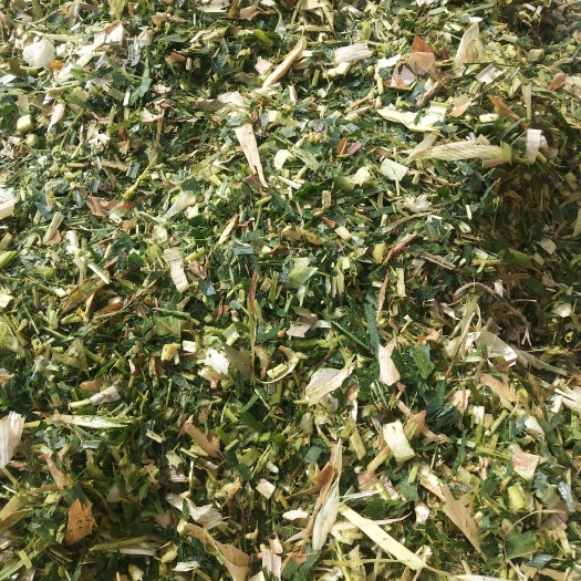 邯郸牛羊饲料，玉米秸秆，黄储，青储，小麦桔桔