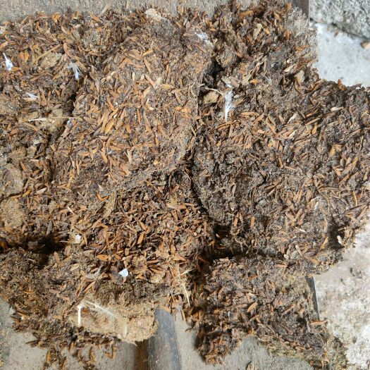 钦州谷壳鸡粪，松根透气，农业好肥料。