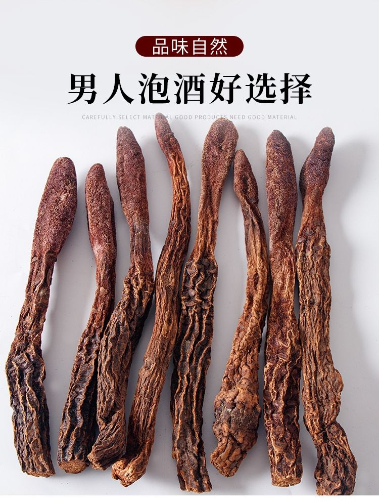 西域特产供销部