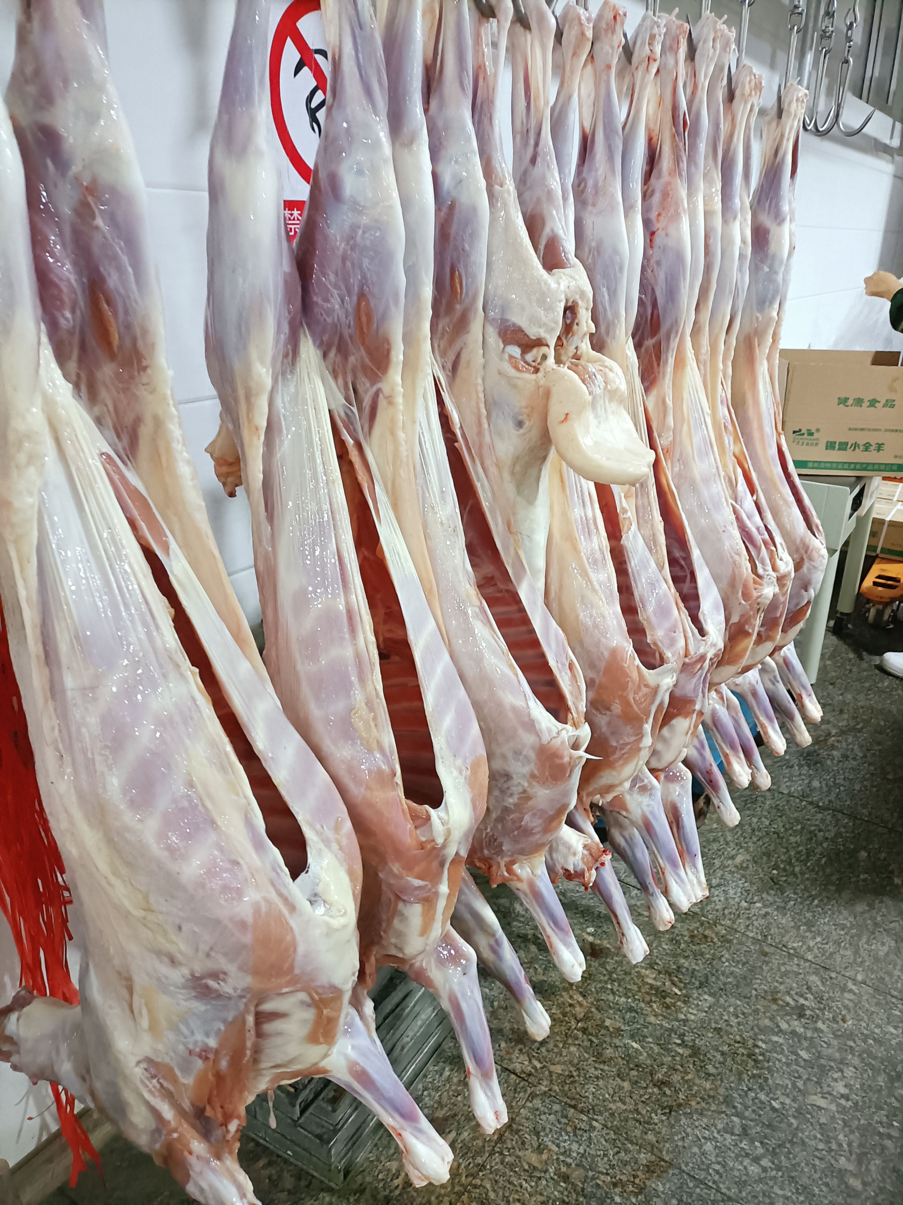 羊肉卷  烤全羊，六公斤至十三公斤，新鲜屠宰。