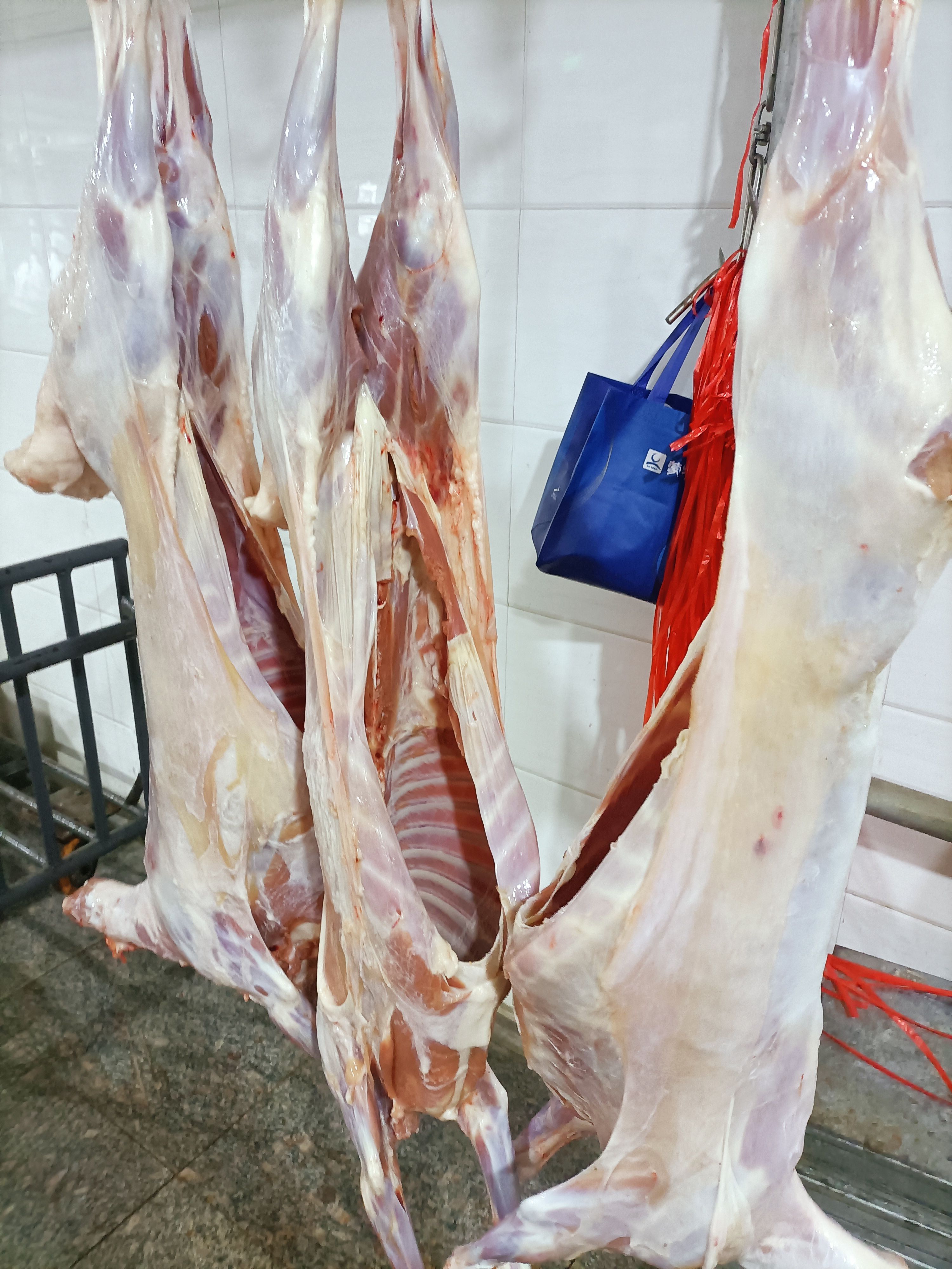 羊肉卷  烤全羊，六公斤至十三公斤，新鲜屠宰。