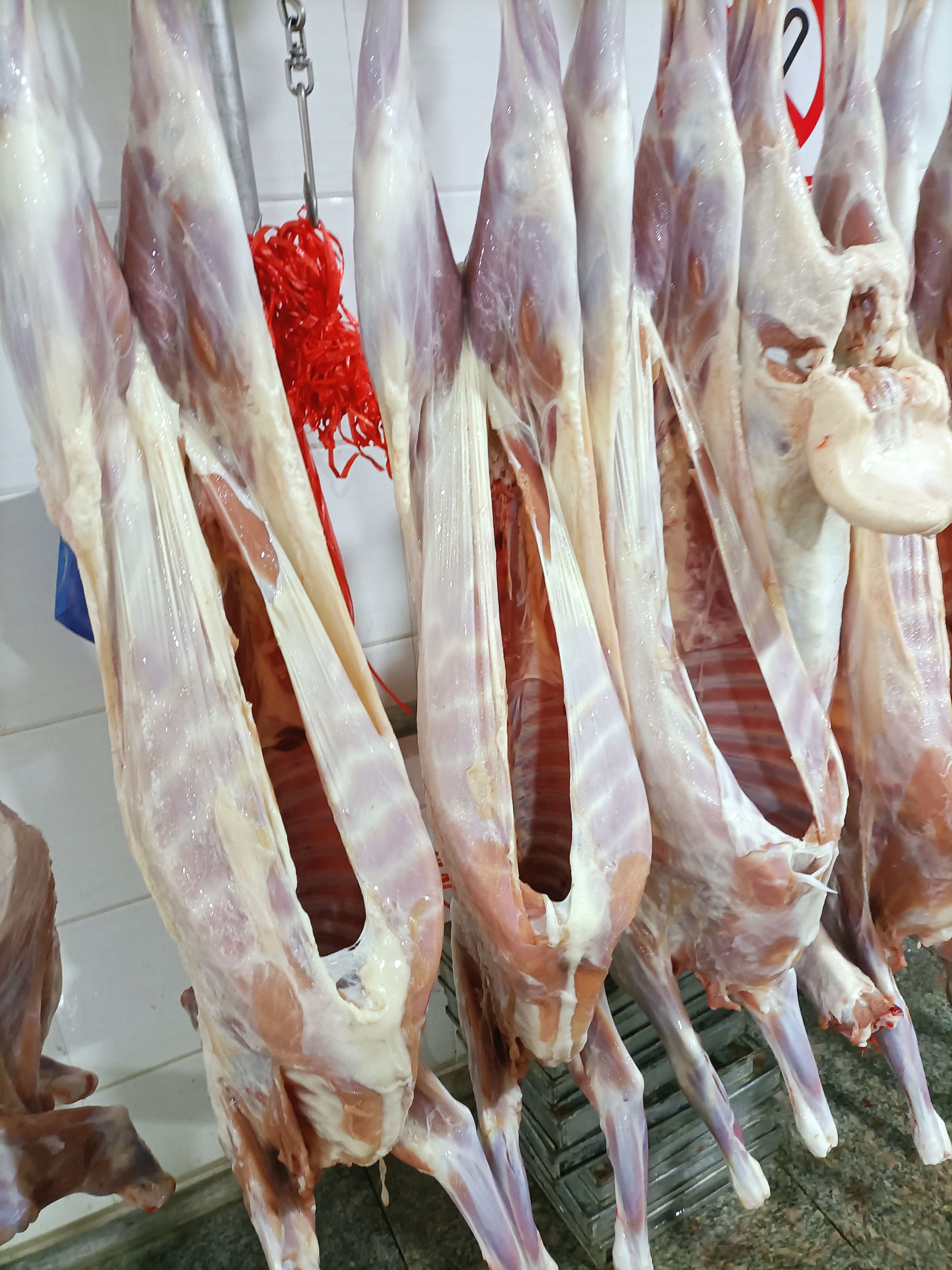 羊肉卷  烤全羊，六公斤至十三公斤，新鲜屠宰。
