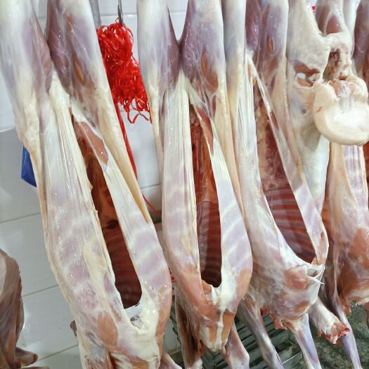 锡林浩特羊肉卷  烤全羊，六公斤至十三公斤，新鲜屠宰。