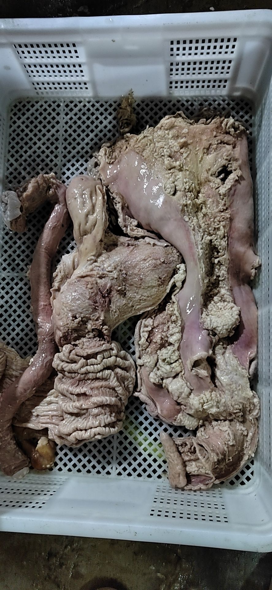 牛杂  飞水肠头三件套，生熟可以定做，抛开清洗干净