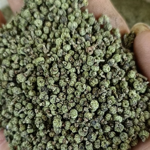 柳城县江西中花吴茱萸干货