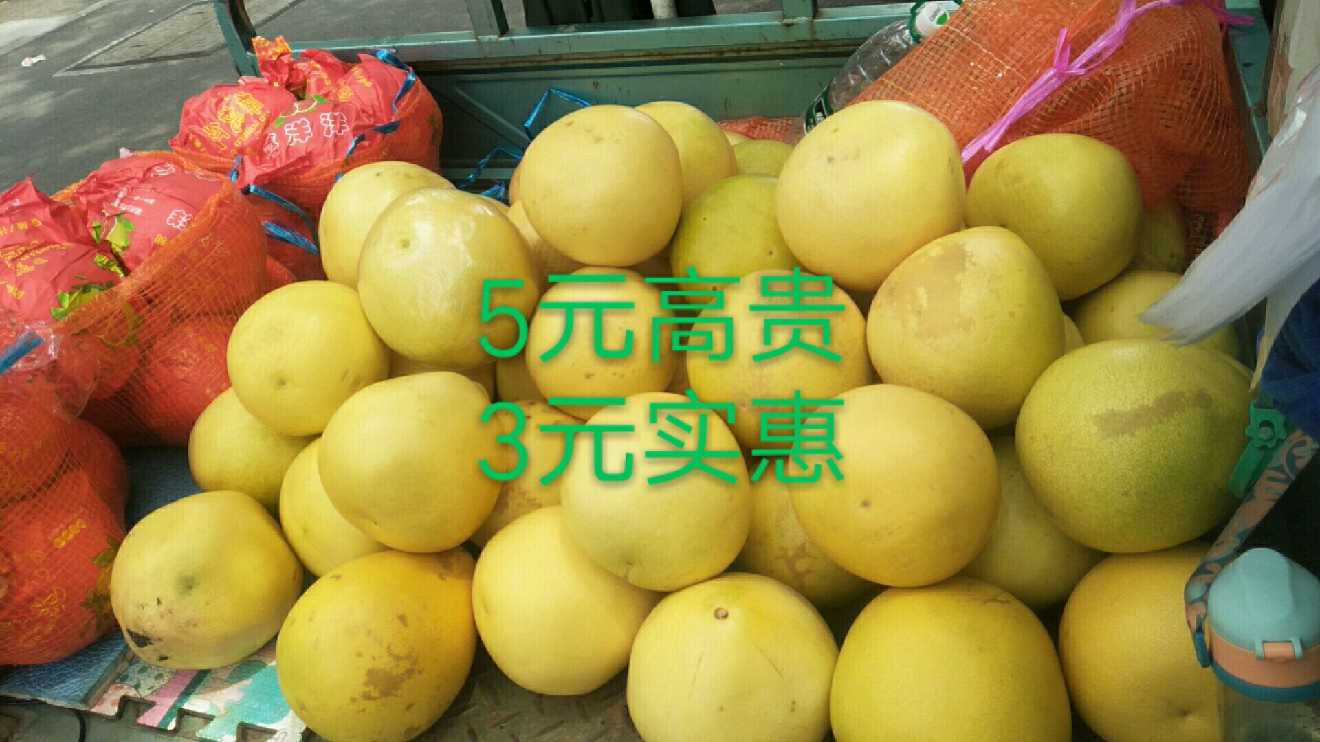 红心柚