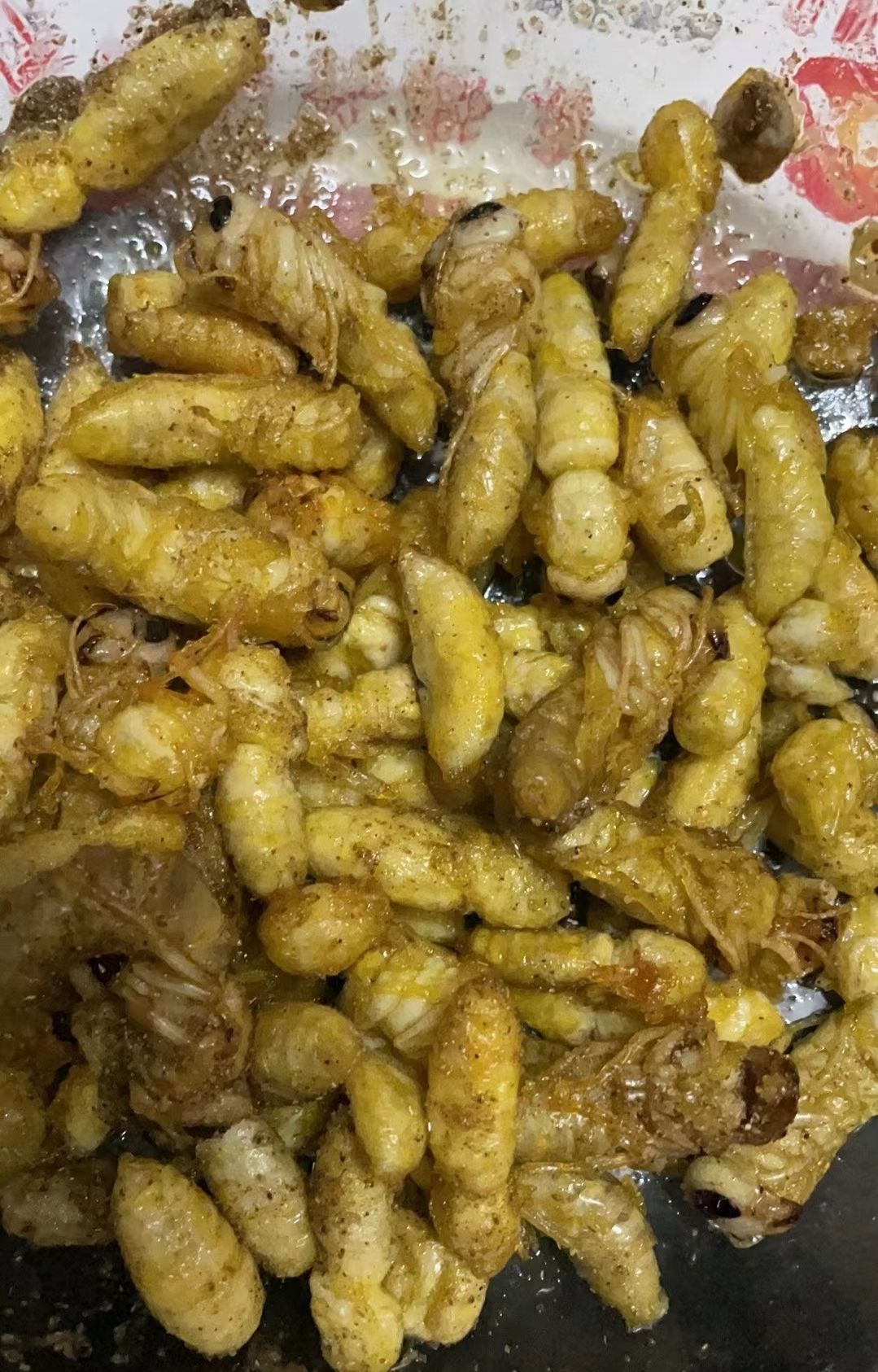 柴虫 美味食材，虫虫系列