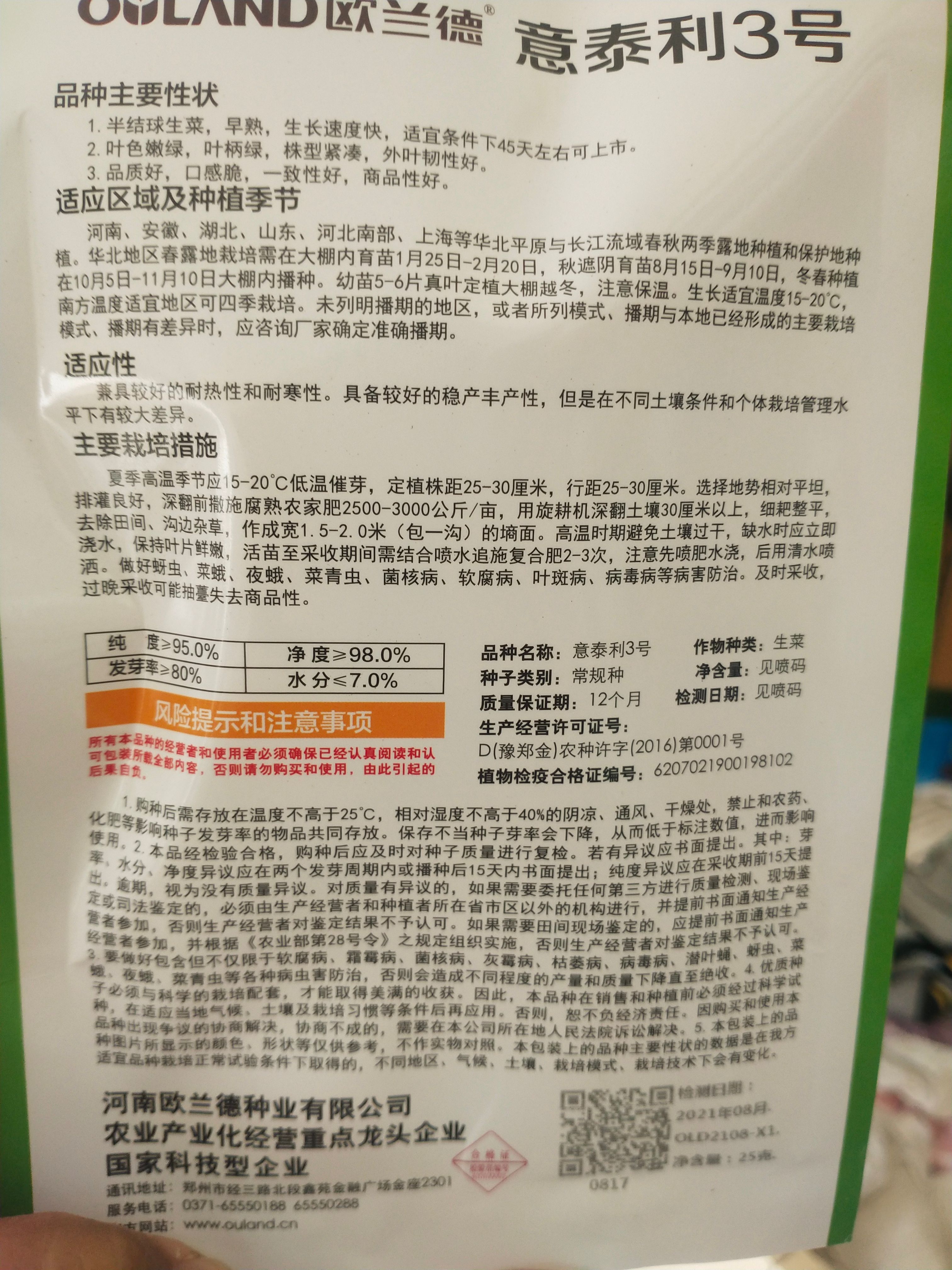 生菜种子 意泰利3号 早熟生长速度快 45天左右 每亩3袋