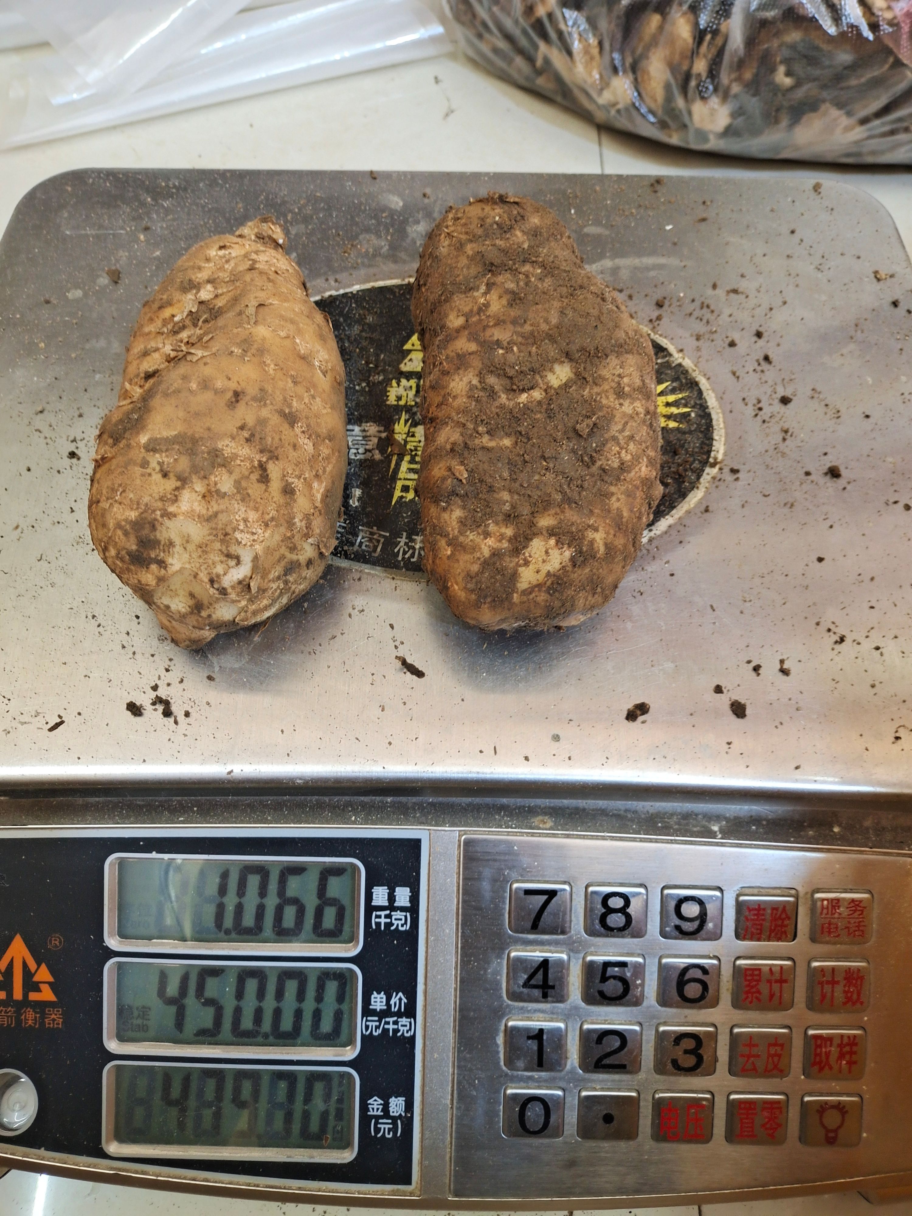  云南昭通新鲜天麻