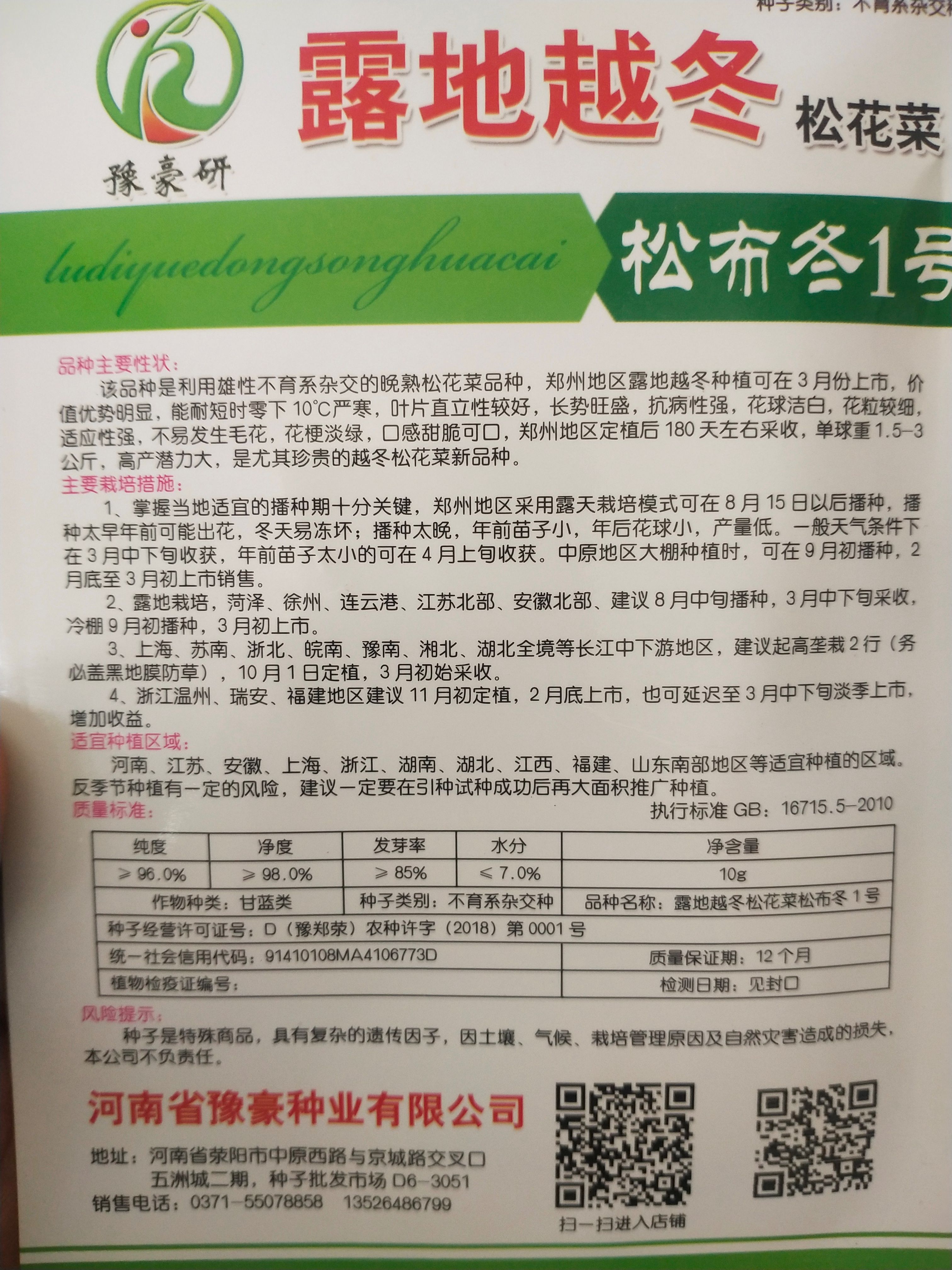 耐严寒松花菜种子 露地越冬 松布冬1号 低温花球不长毛