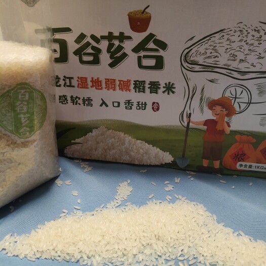 林甸县稻花香 黑龙江大庆湿地弱碱大米