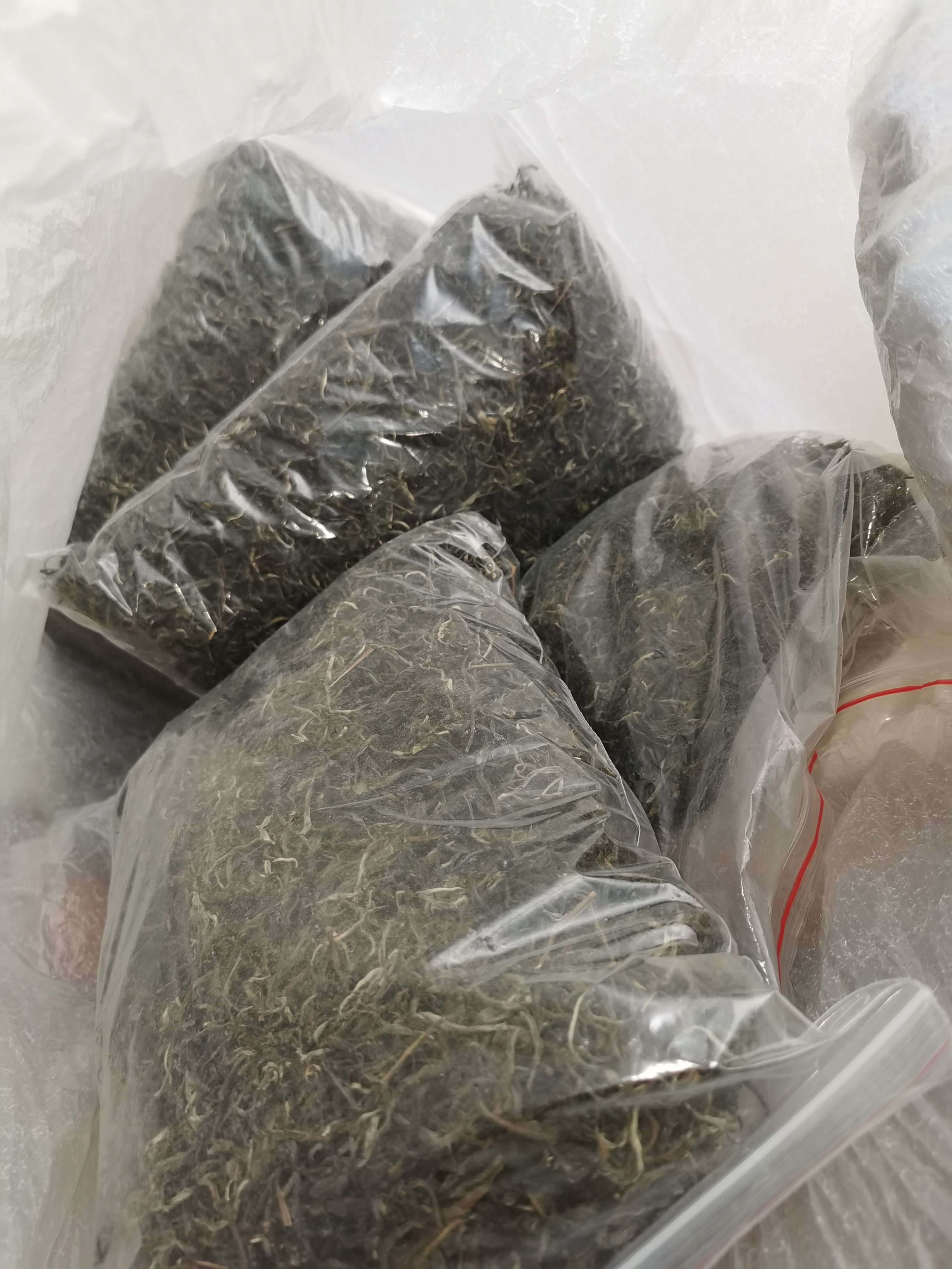 老树茶云南普洱绿茶散装生普农家茶一手茶现货批发高性价比口粮茶