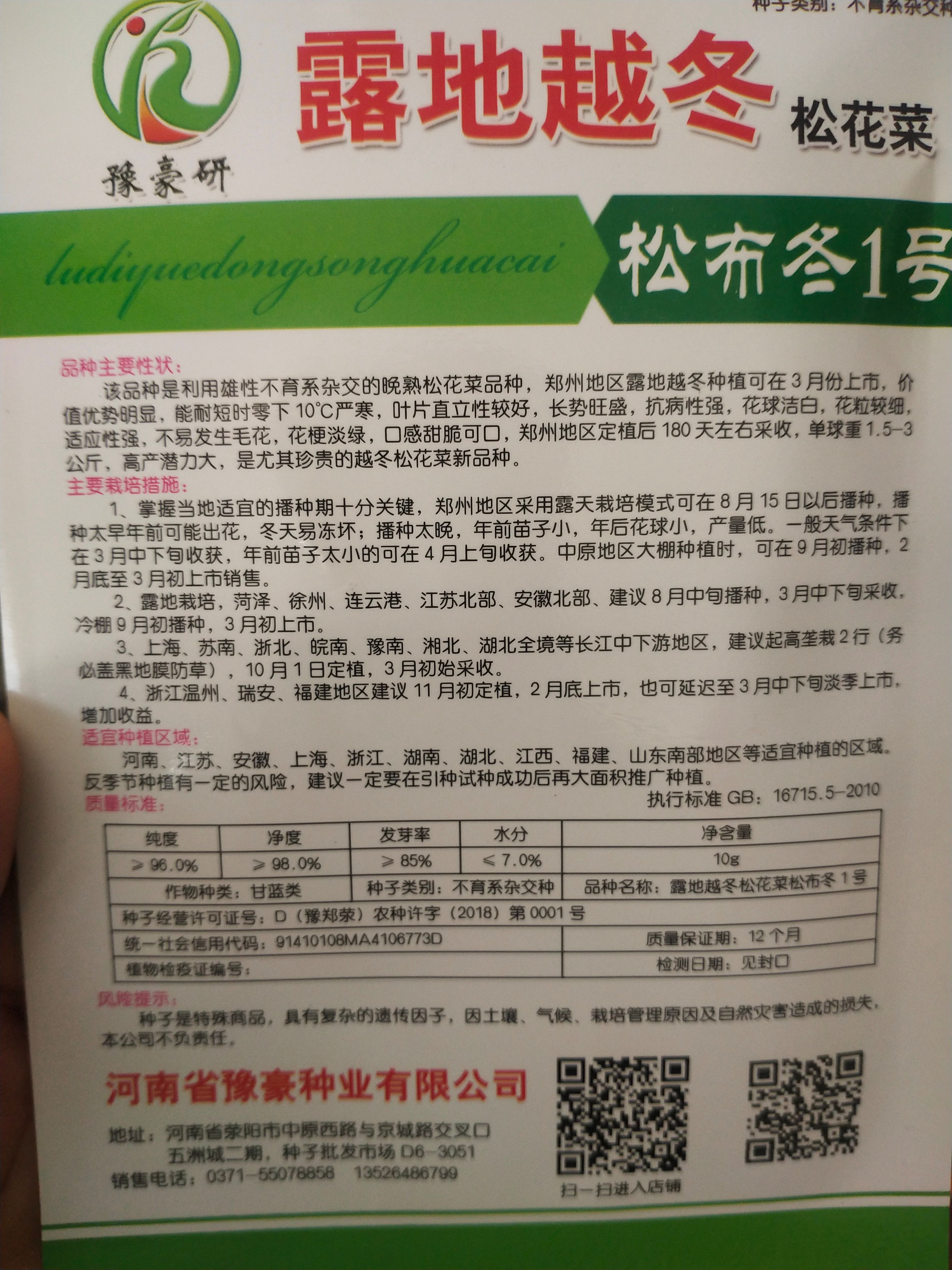 耐严寒松花菜种子 露地越冬 松布冬1号 低温花球不长毛