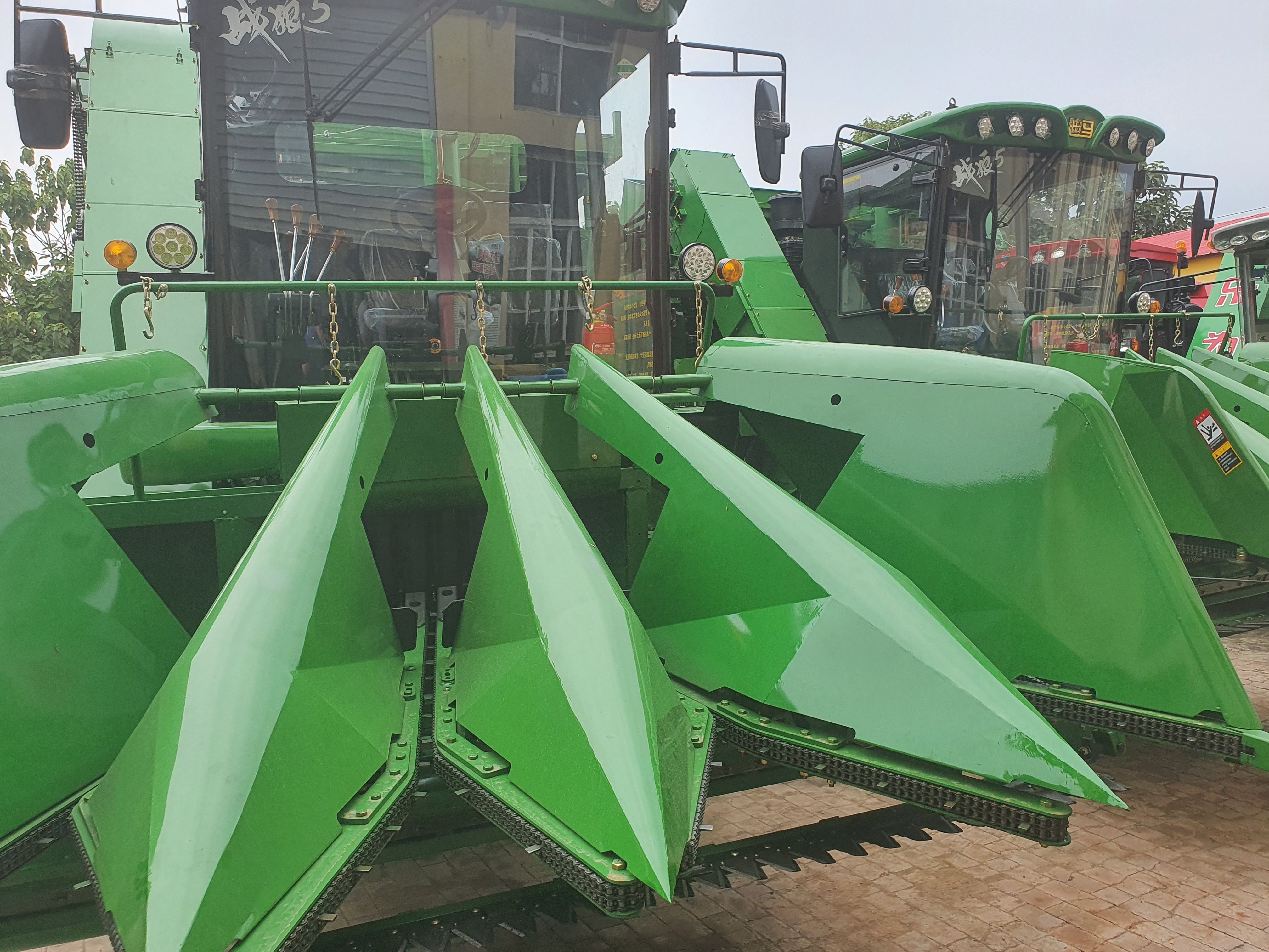 玉米青贮  2022年青储黄储大量上市！预售牛羊饲料180一