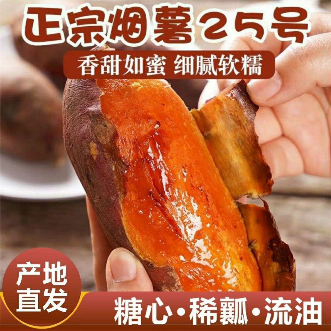  山东蒙阴烟薯25一件代发蜜薯当季新红薯