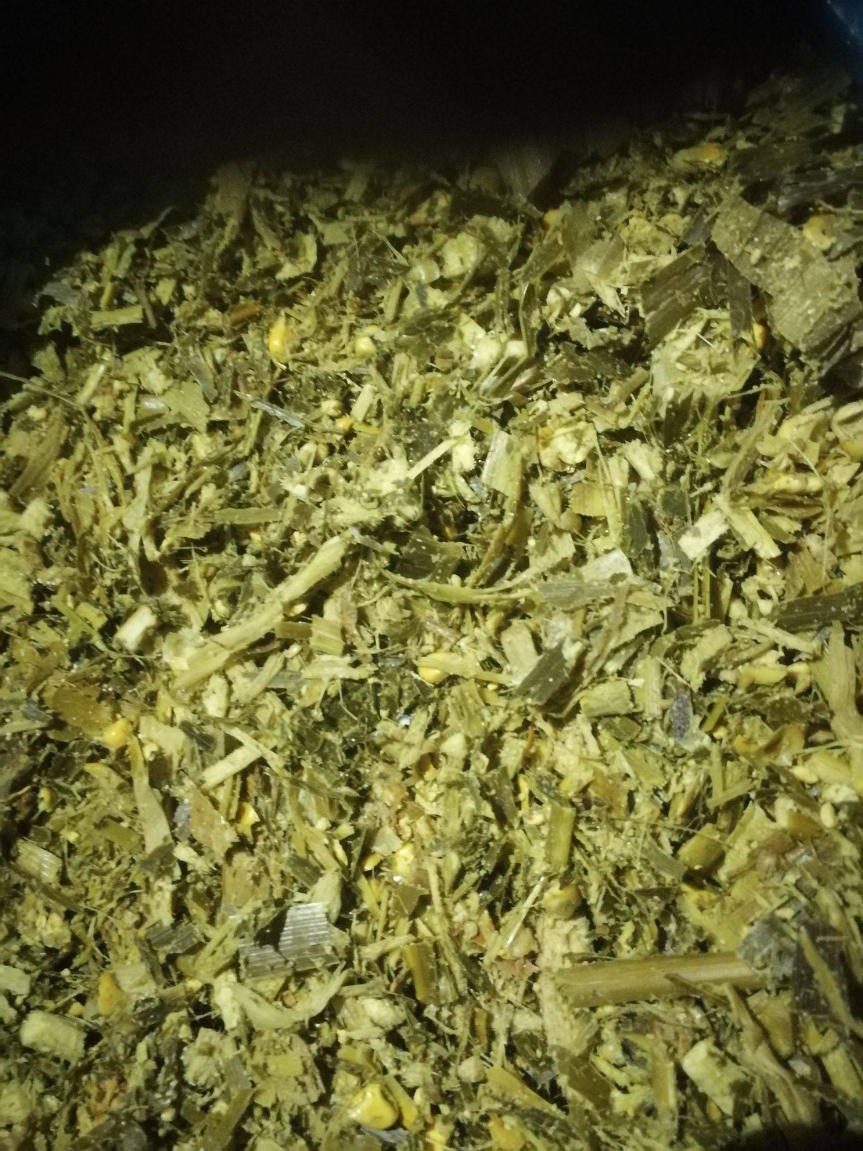 玉米青贮  2022年青储黄储大量上市！预售牛羊饲料180一