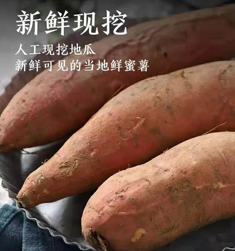  山东蒙阴烟薯25一件代发蜜薯当季新红薯