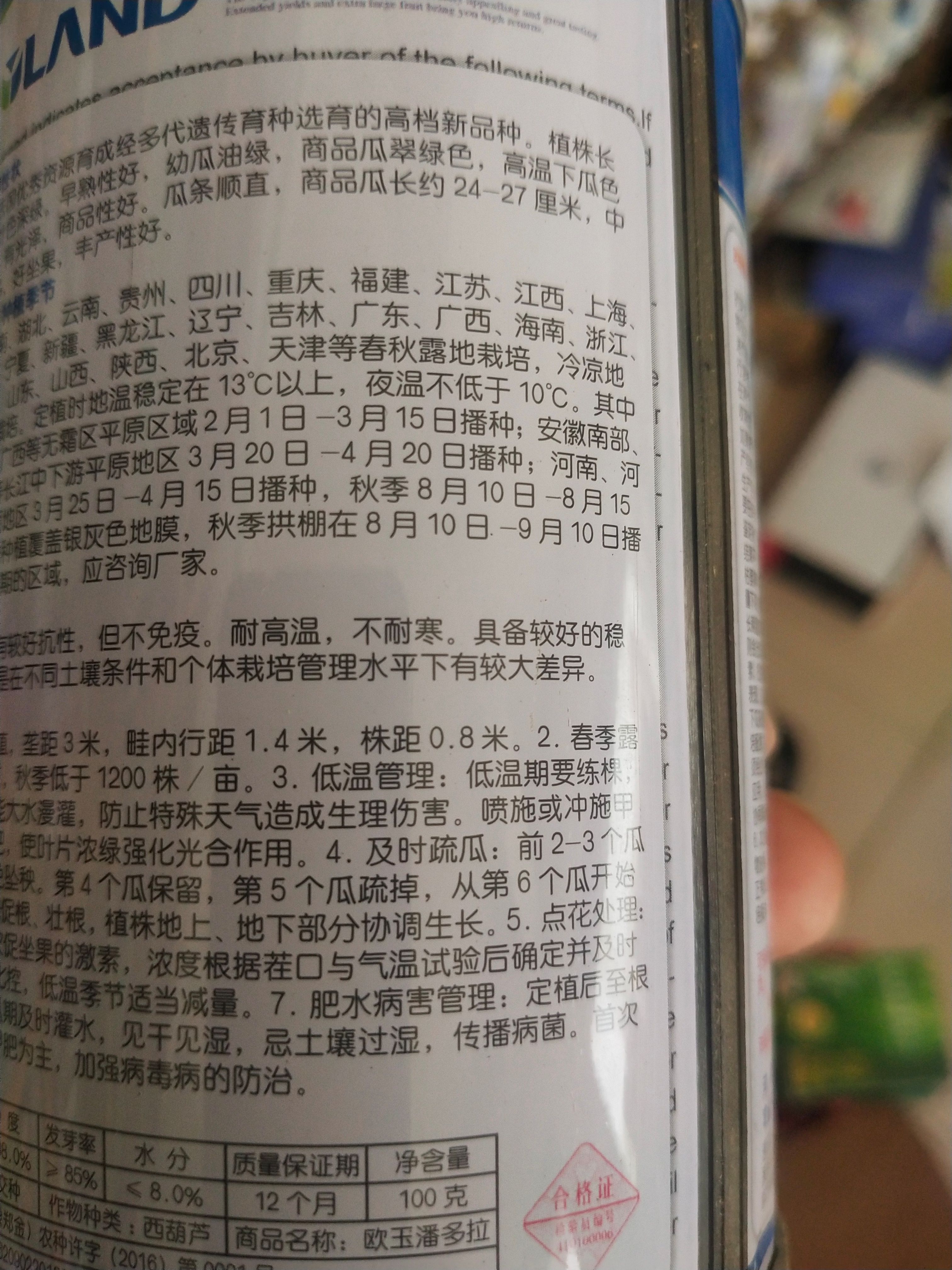 西葫芦种子，欧玉潘多拉 病白 粉病瓜色绿中后期产量高