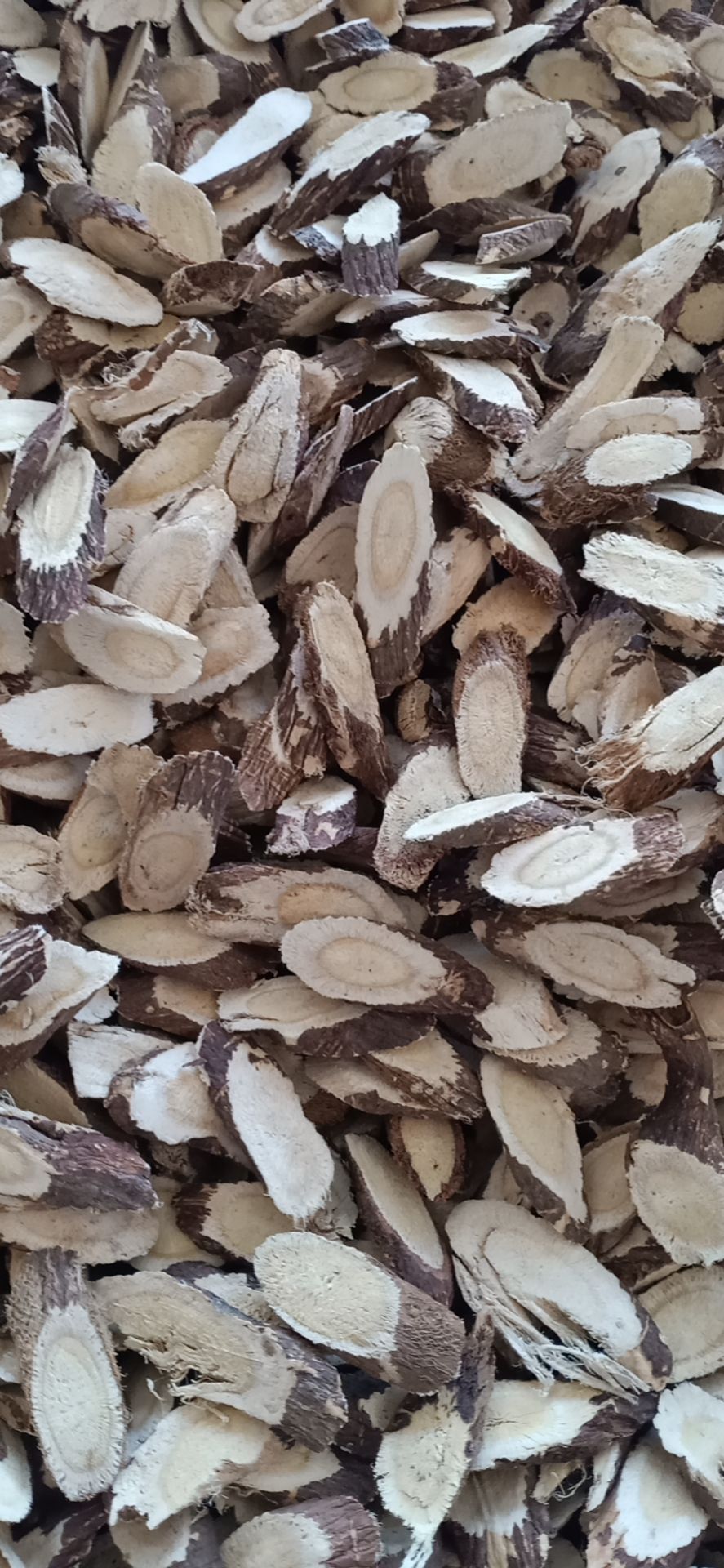 红芪手选大片批发