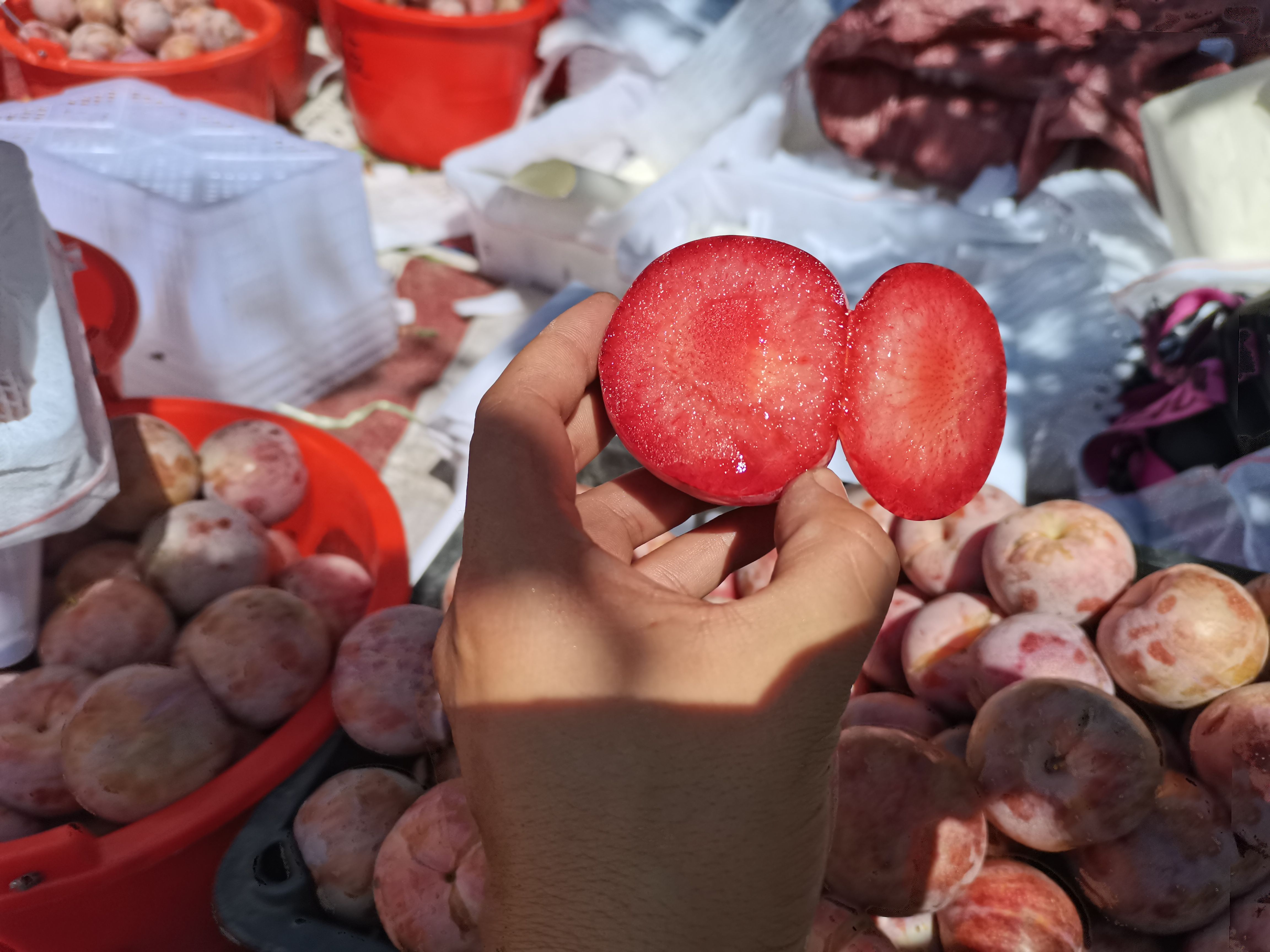李子  疆凌果业产地直供《恐龙蛋》
