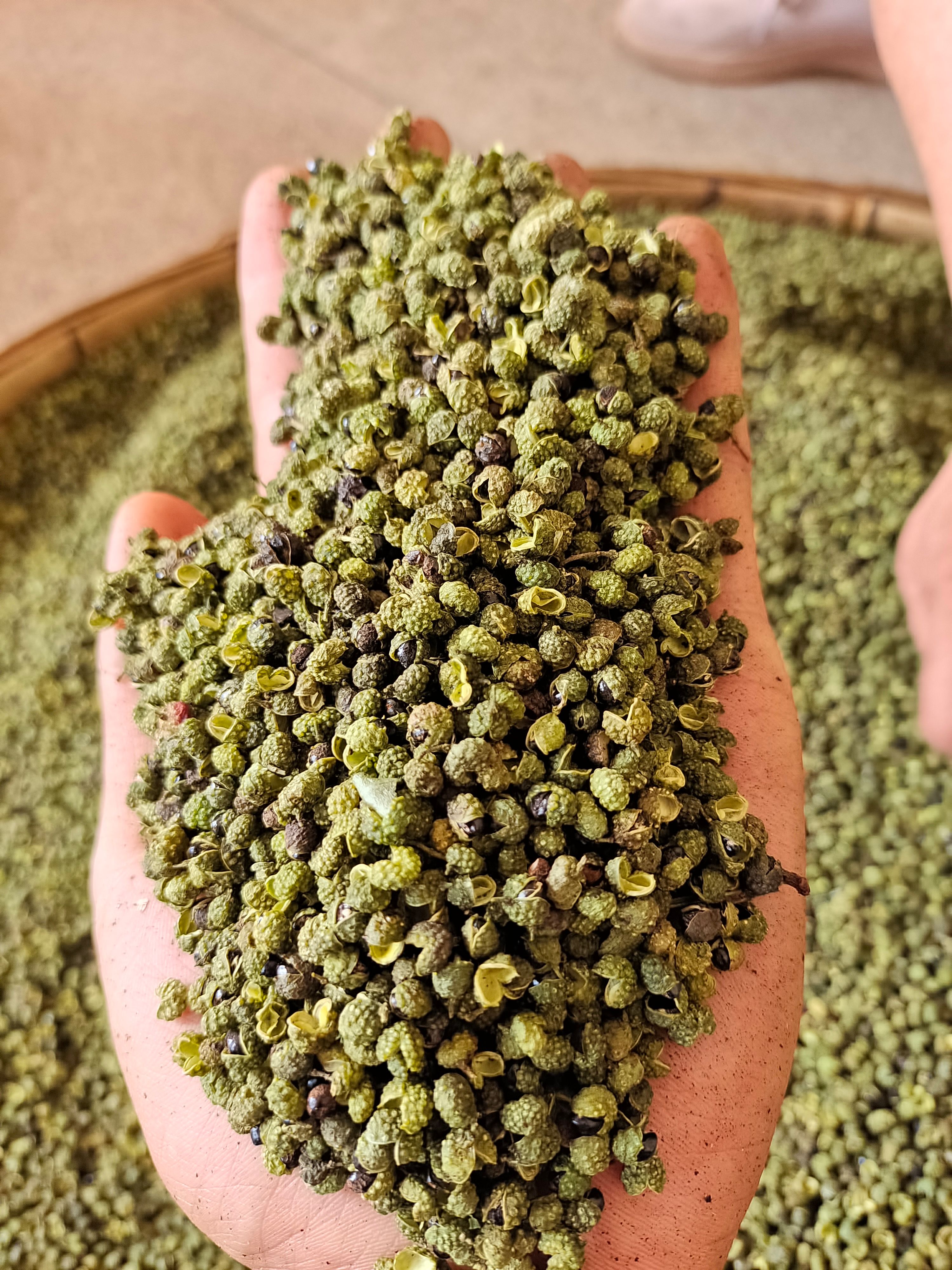 青花椒  青麻椒