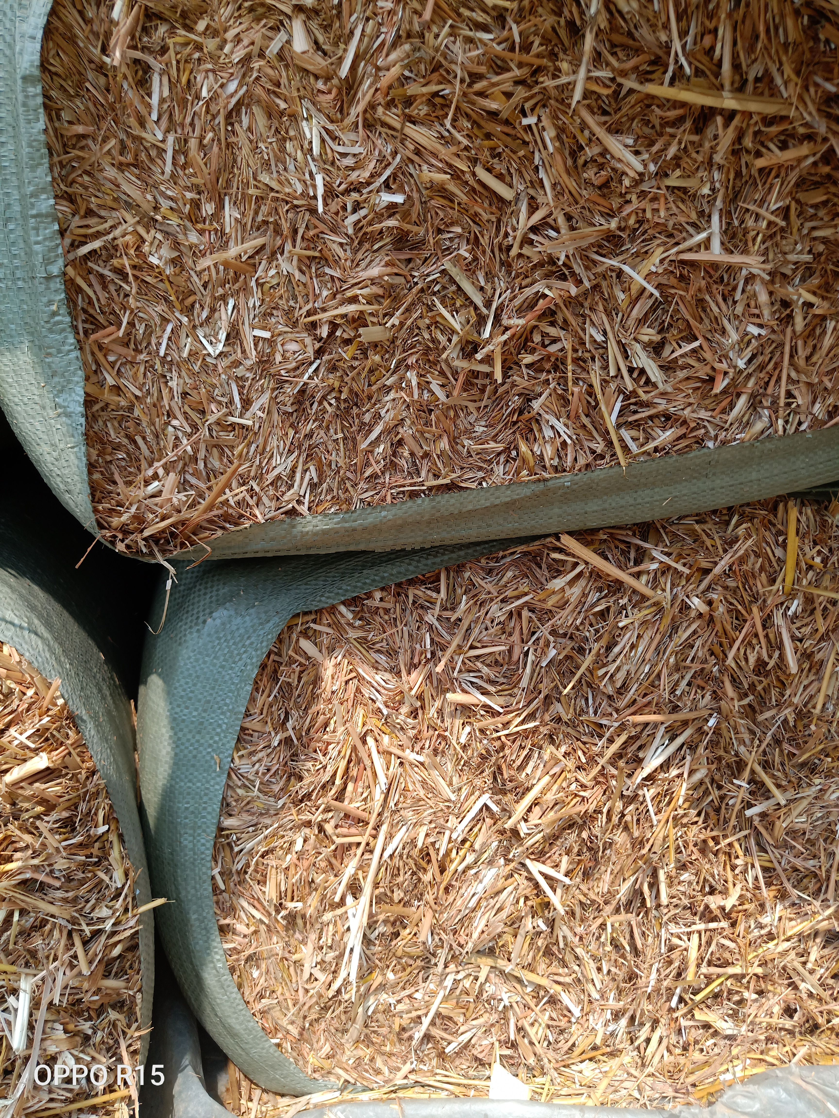 小麦秸秆 麦秸牛草大方捆 ，粉碎麦秸，水分点低可以储存 ，