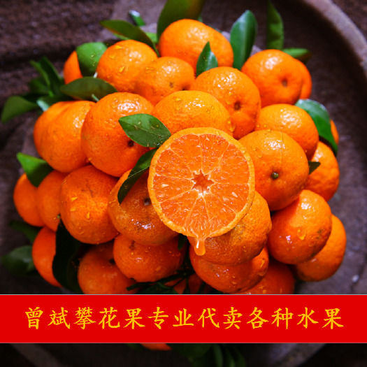 高碑店市攀花果公司专业代卖砂糖橘（沙糖桔），欢迎单位和个人团购！