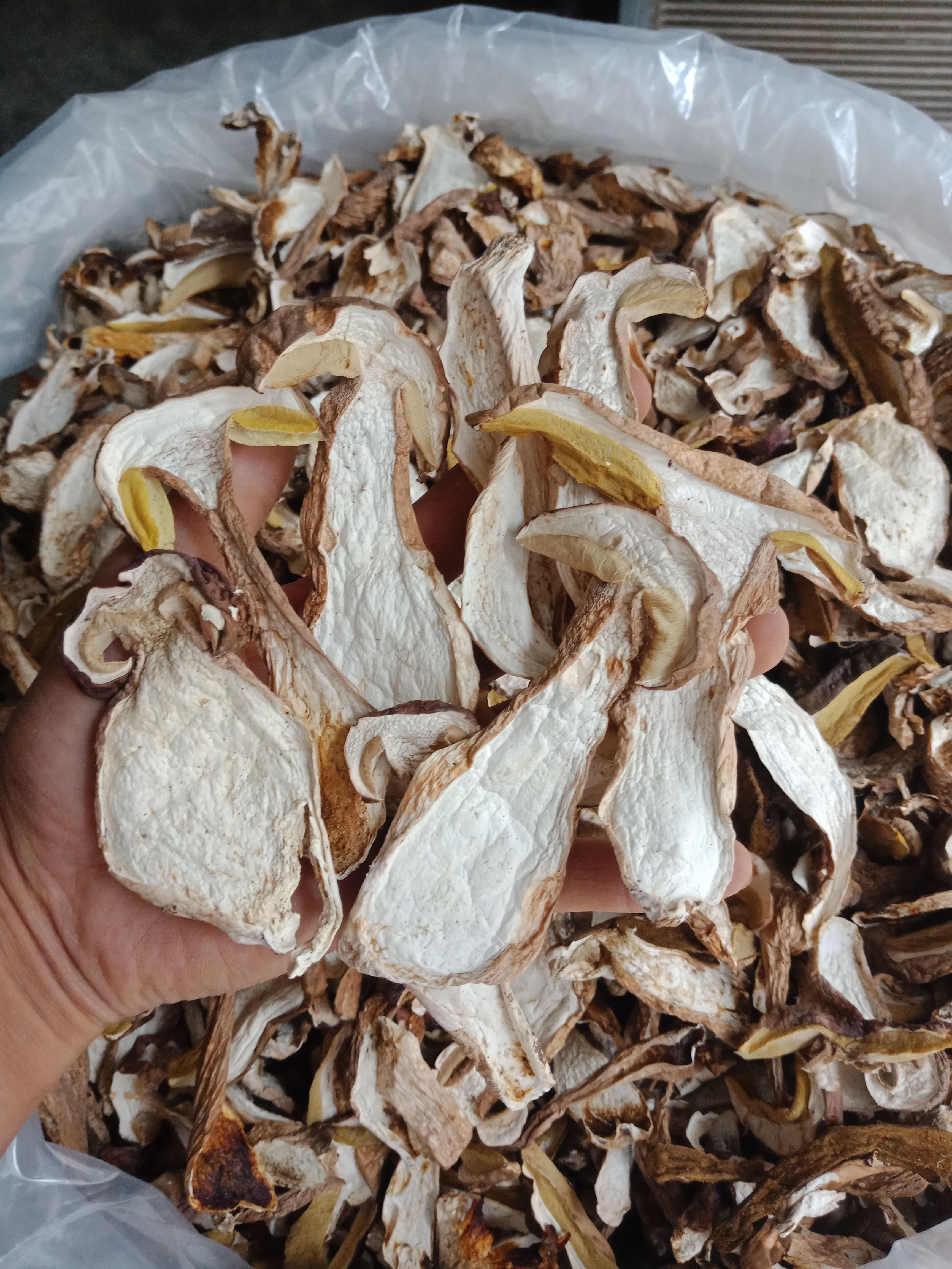 野生白牛肝菌机烤片