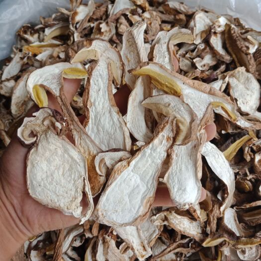 宁强县野生白牛肝菌机烤片