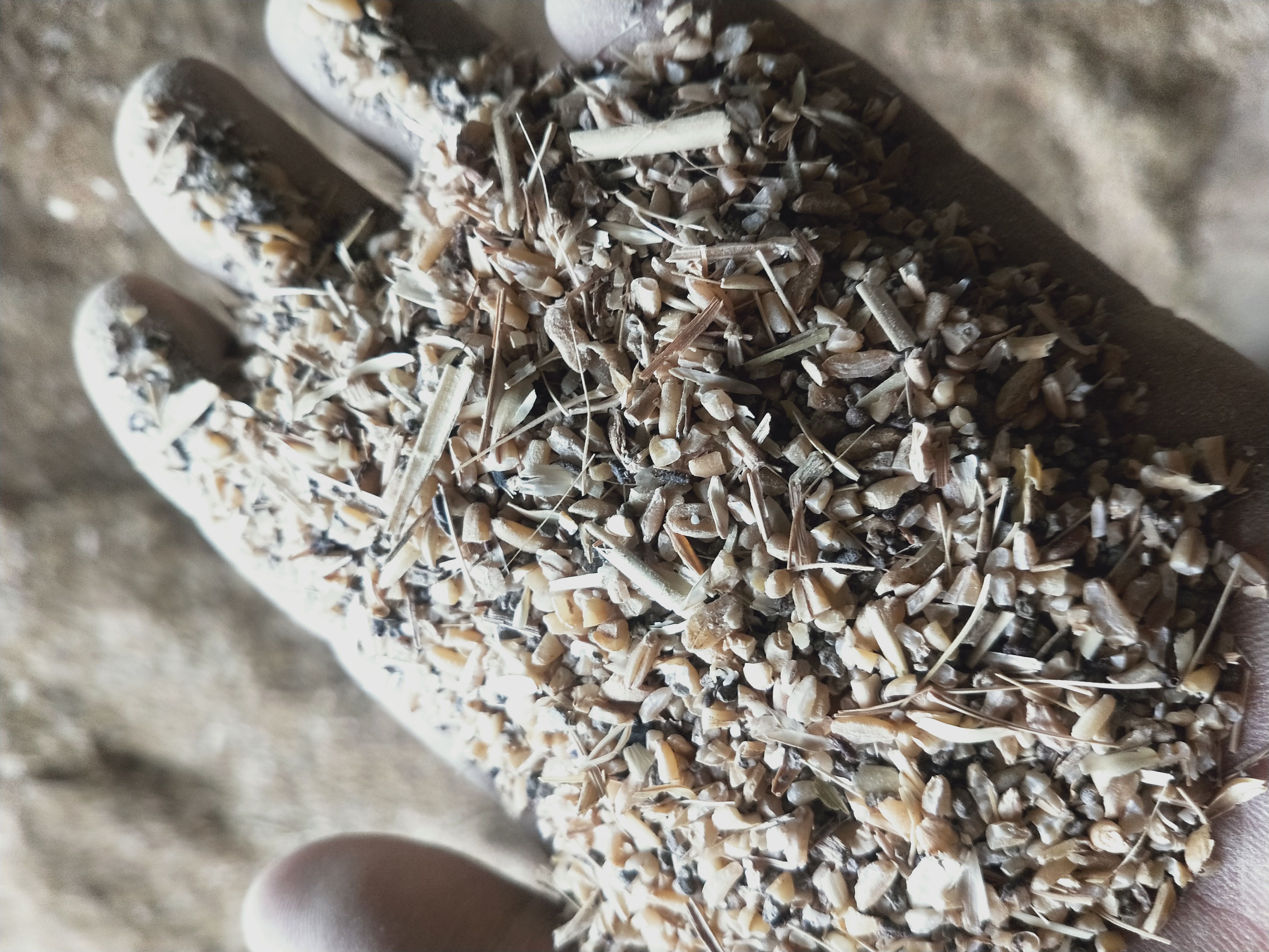 糟渣类饲料 鸡 鸭 鹅 鸽子  鹌鹑