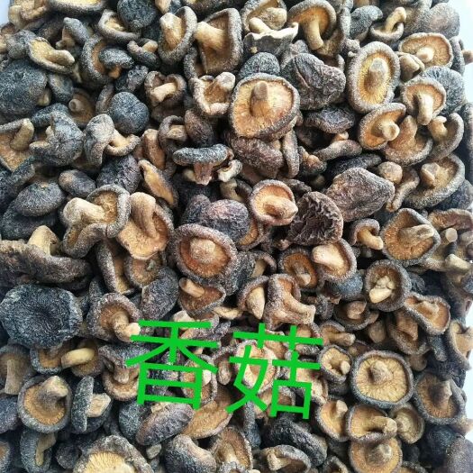 烟台 果蔬脆片