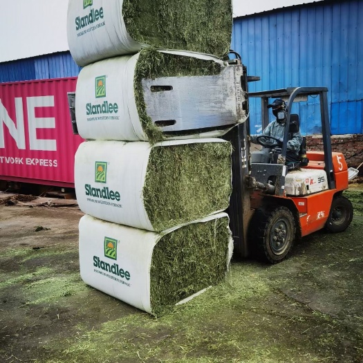 玉门市苜蓿草饲料  苜蓿草 西班牙苜蓿草 大捆 质检报告质量好