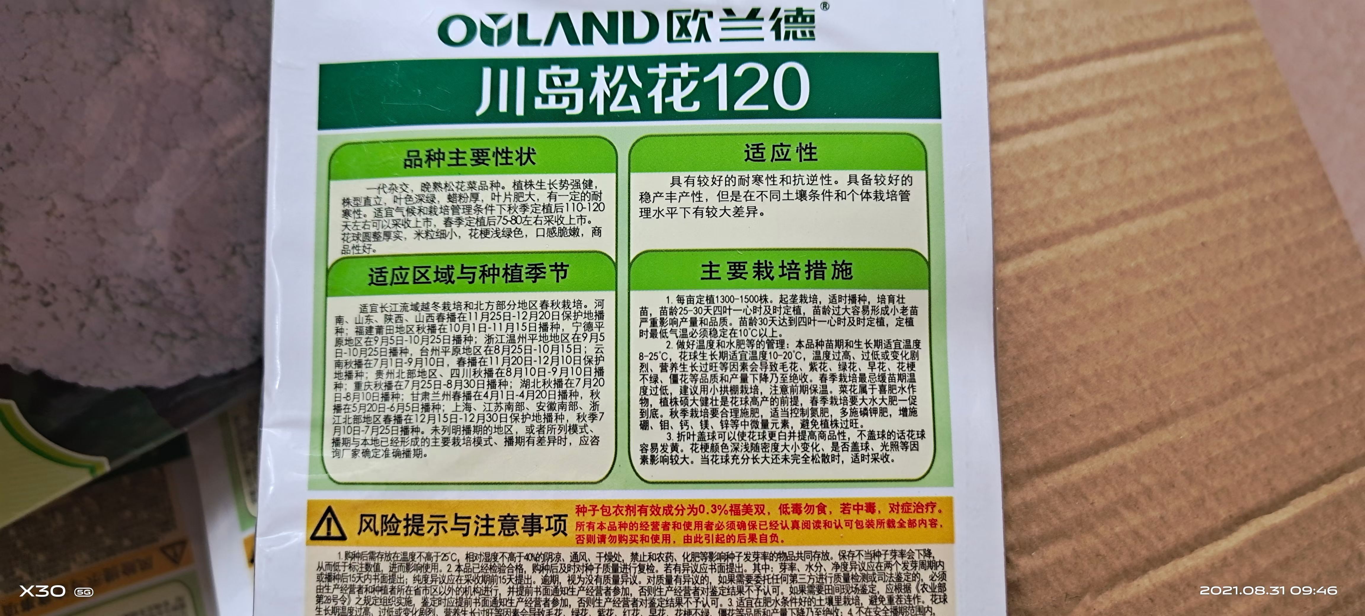 花椰菜种子 松花120花菜种子
