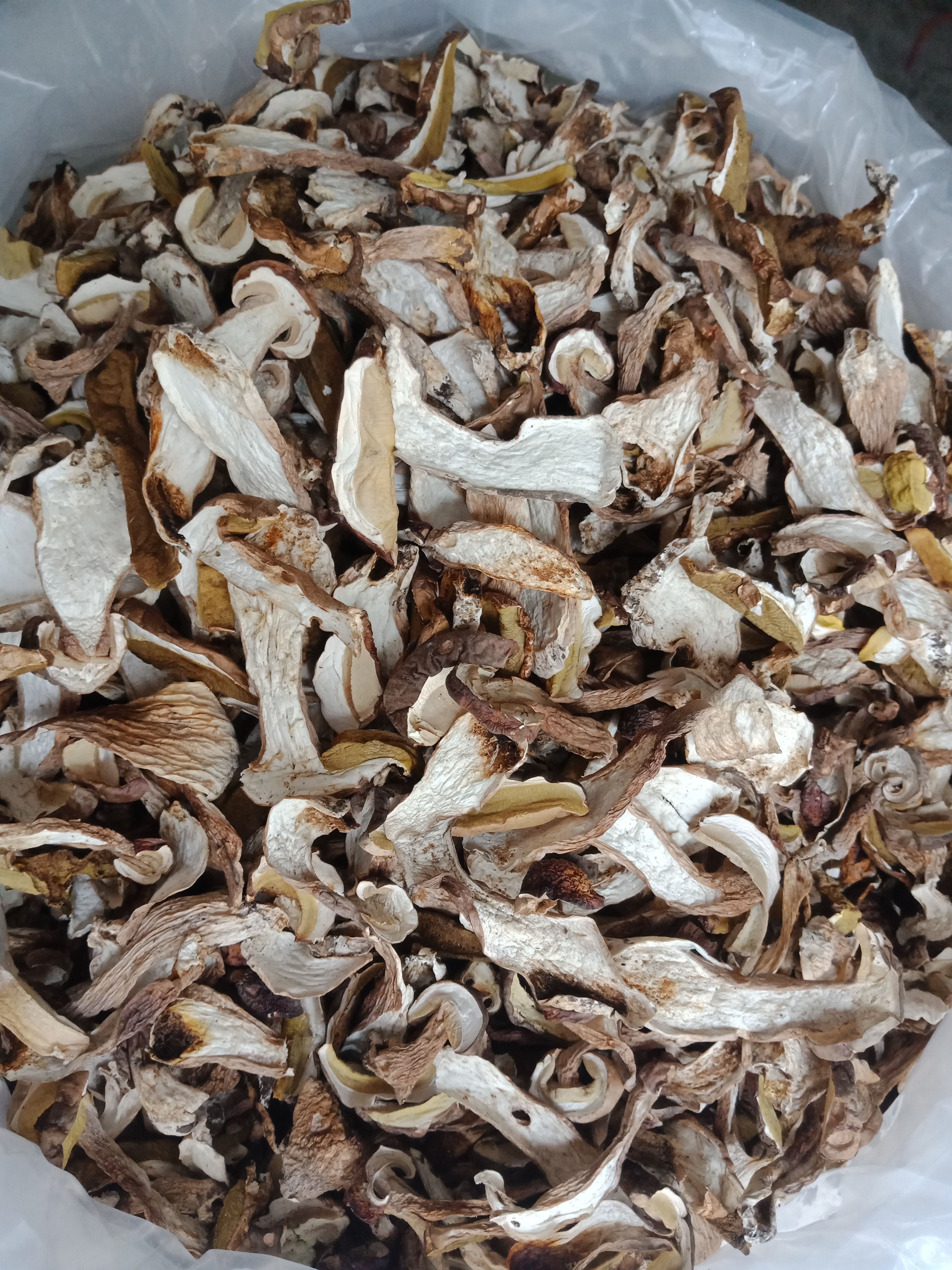 野生白牛肝菌机烤片