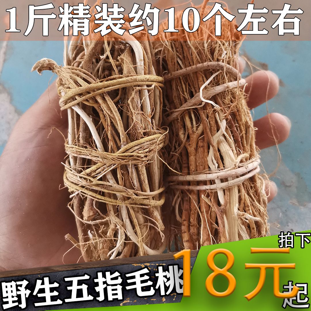 五指毛桃扎把