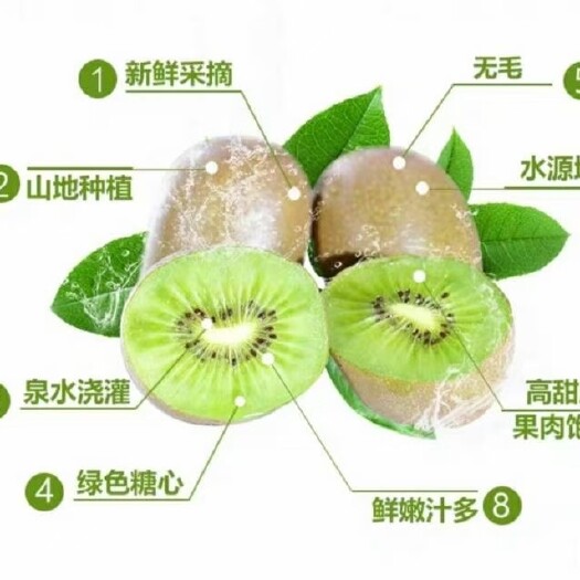 淄博 博山碧玉猕猴桃，天然有机食品