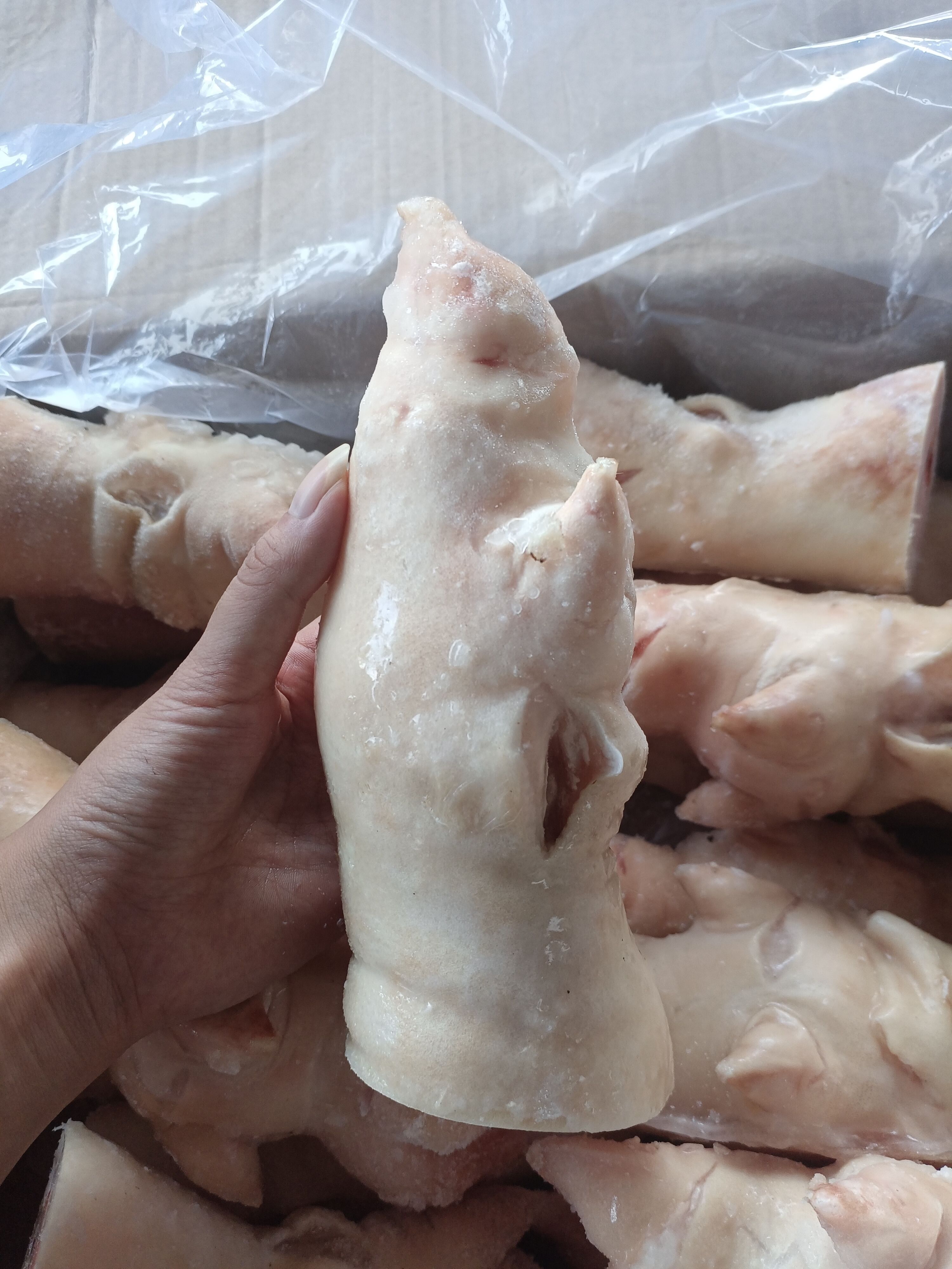 猪蹄 16-17个短脚