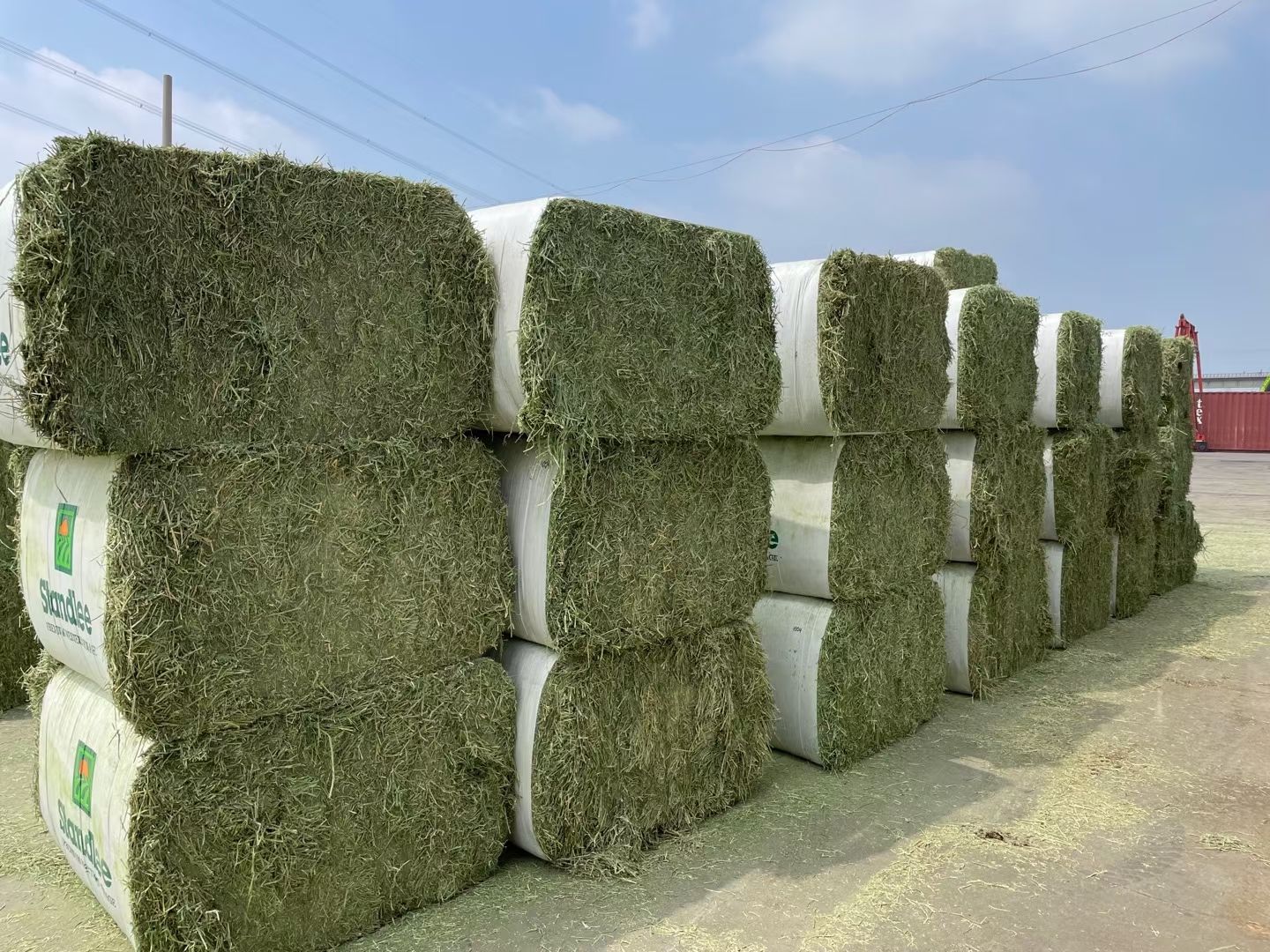 苜蓿草饲料  苜蓿草 西班牙苜蓿草 大捆 质检报告质量好