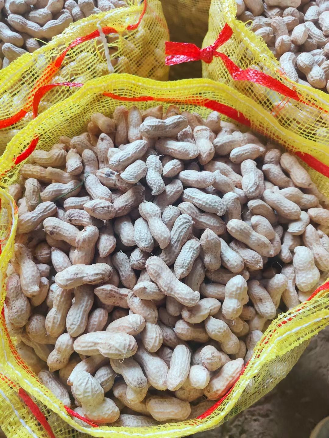 鲜花生 精品小果湿花生，小鲁花，白沙，供应超市，电商，加工厂量大从优