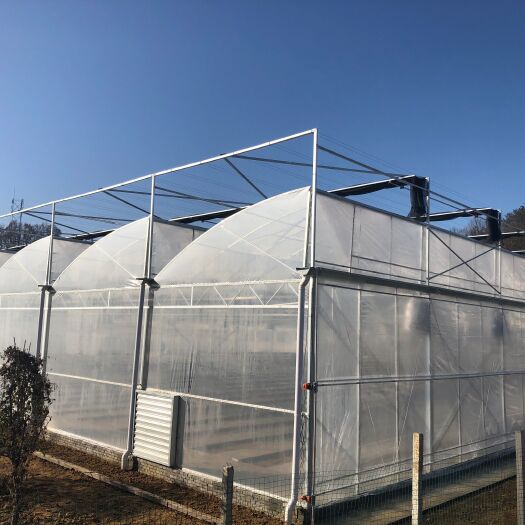 青州市连栋温室大棚 薄膜联栋温室