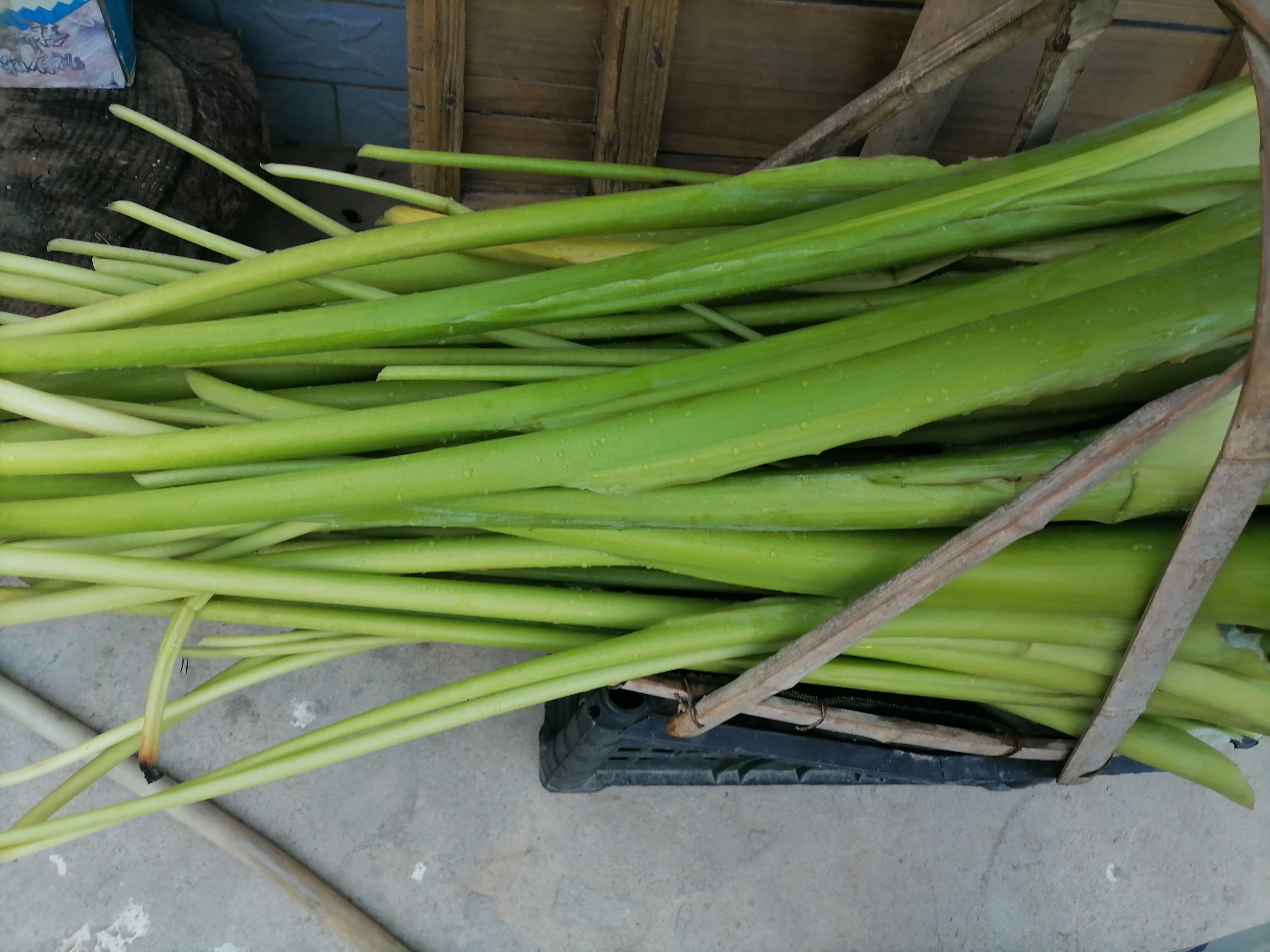 酸芋头梗  酸芋苛