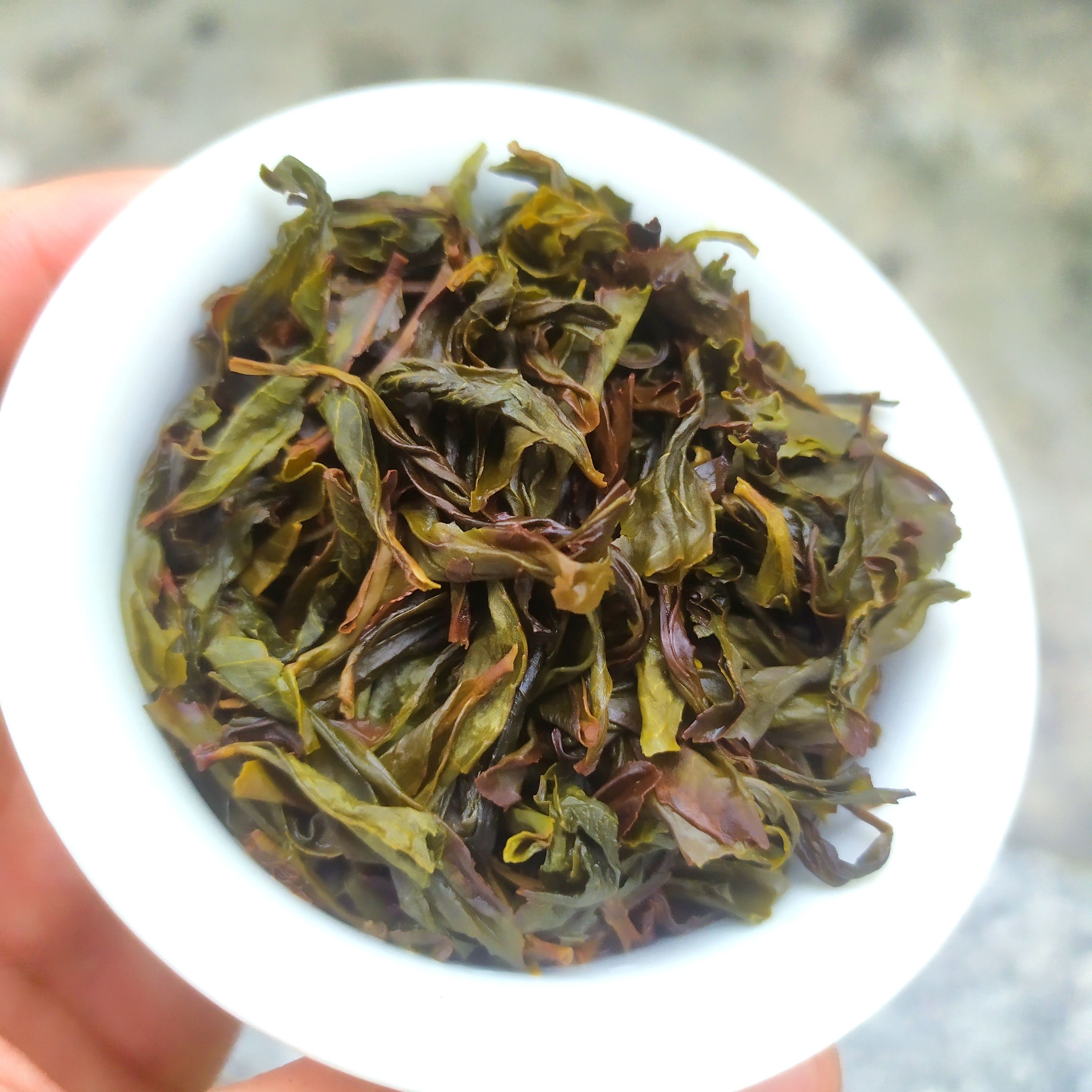 高山茶潮汕土山茶惠来黄旦茶福建乌龙茶高山茶叶浓香型黄旦茶1