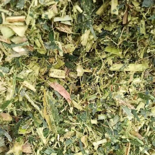 乐陵市青储草 2021新玉米秸秆饲料大量出售