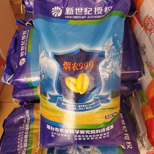 济南小麦种子  烟农999，亩产800公斤以上，欢迎各位朋友咨询