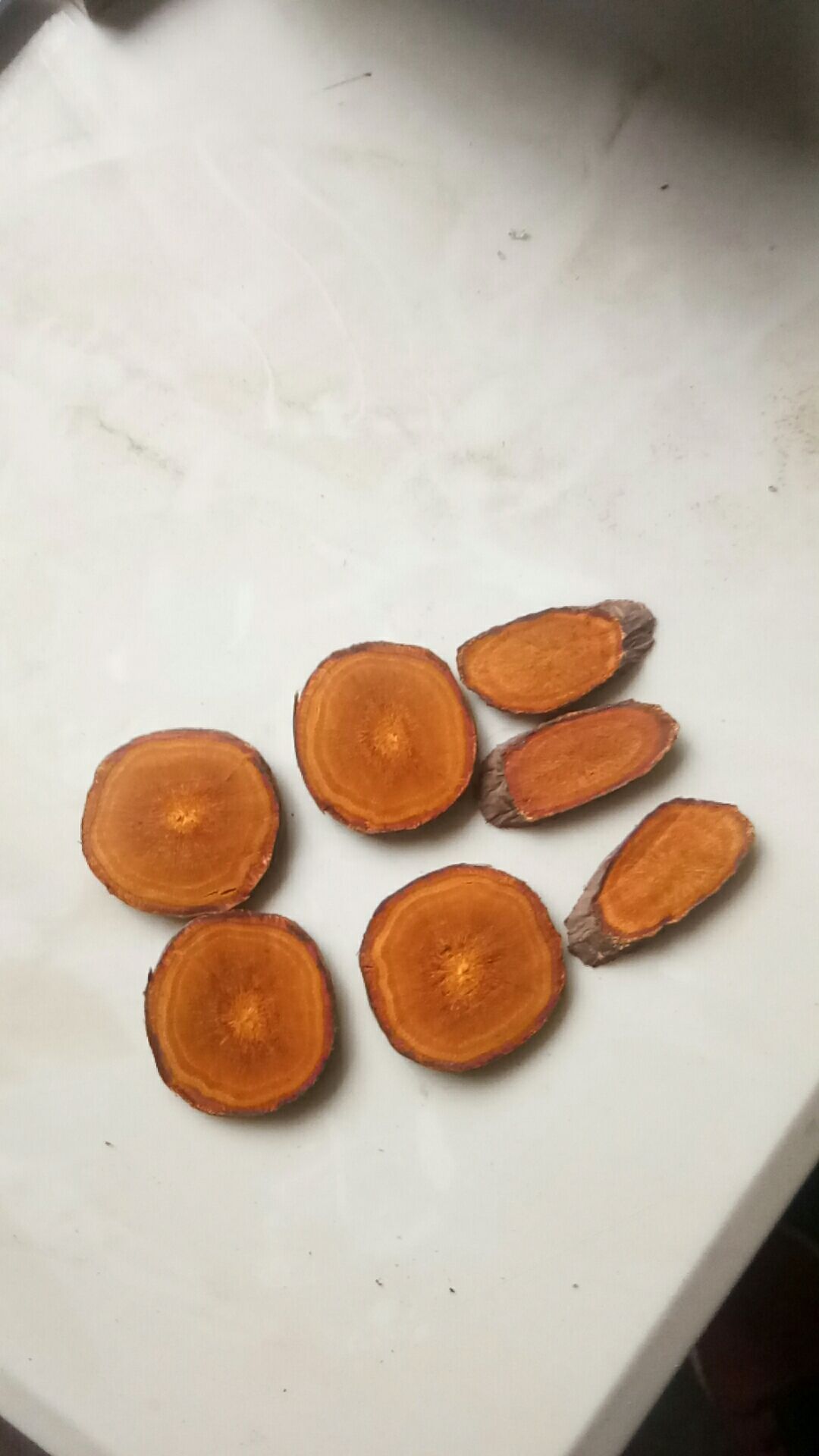  高原唐古特大黄五年.